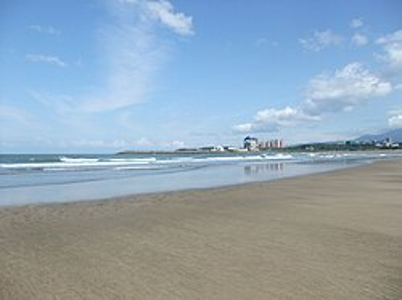 又來了!淡水沙崙海灘驚見「四腳獸」 網友狂問:擎天崗那對?
