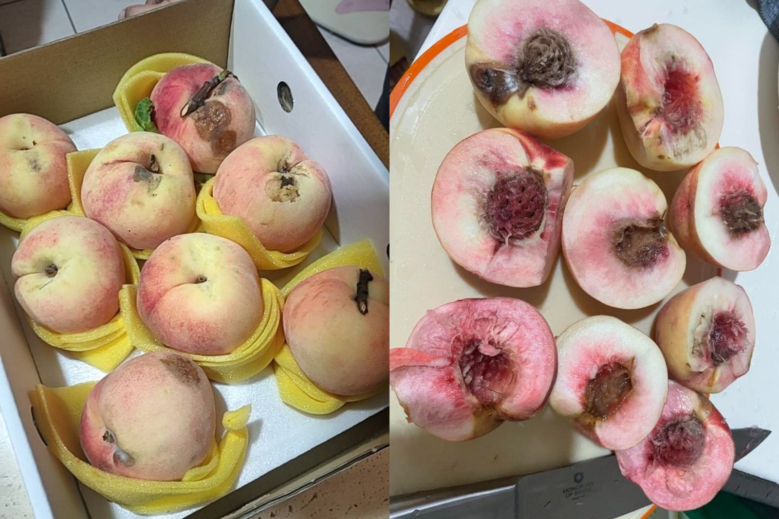 拉拉山買32顆水蜜桃！他回家開箱全爛「剩8顆能吃」崩潰：怪自己太信任