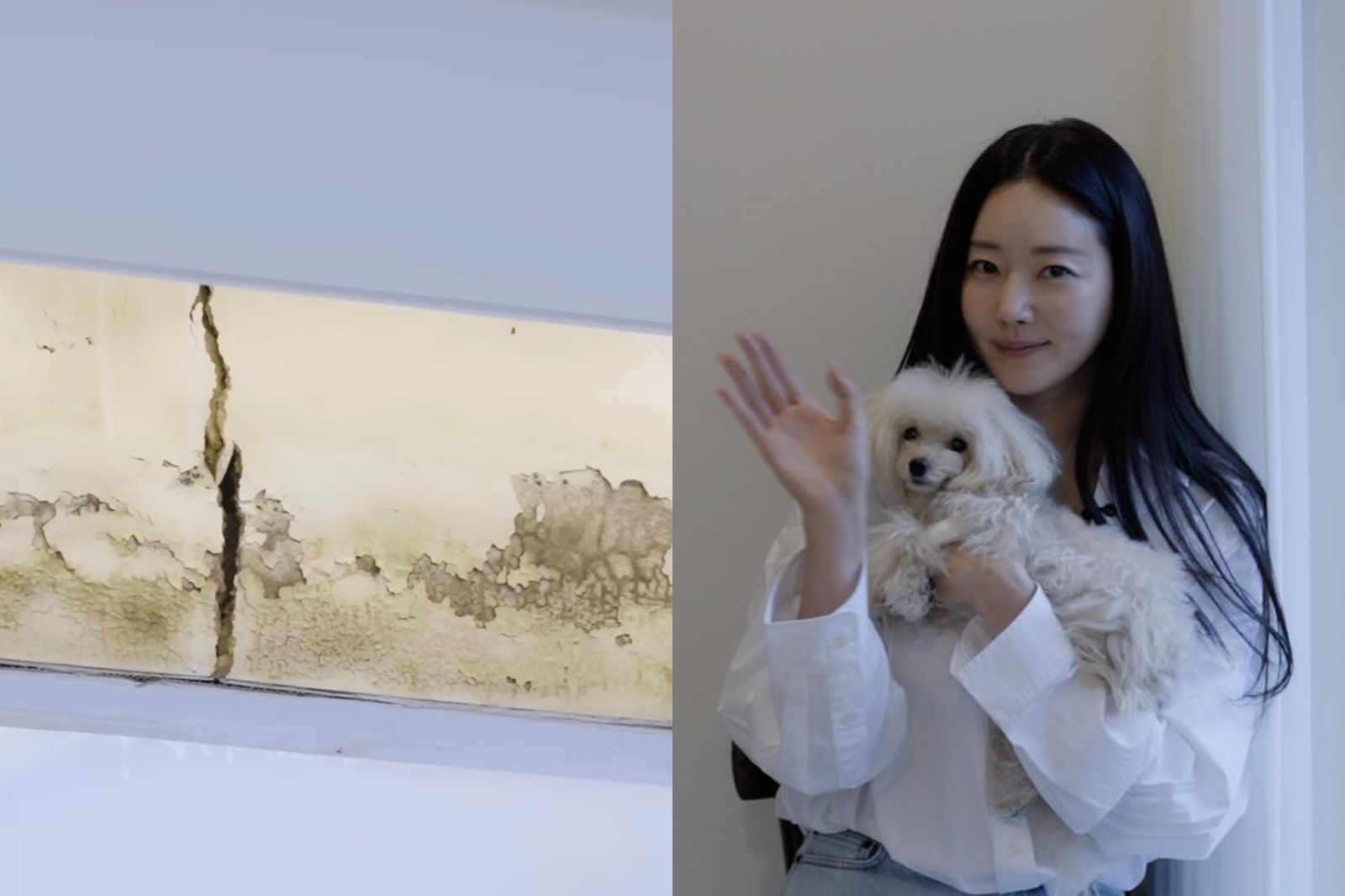 豪宅慘變爛尾屋！48歲韓國小姐冠軍崩潰控工頭落跑　急鋪尿墊止災