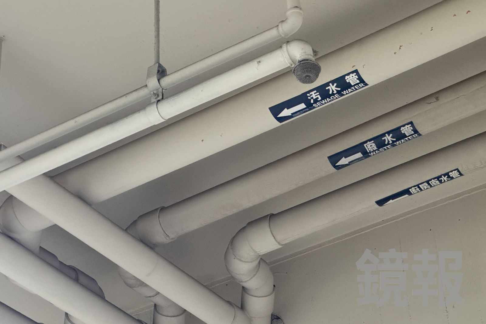 車主與友人抬頭一看，發現排泄物疑似從天花板的污水管滲漏，滴髒車子。林建鋒攝