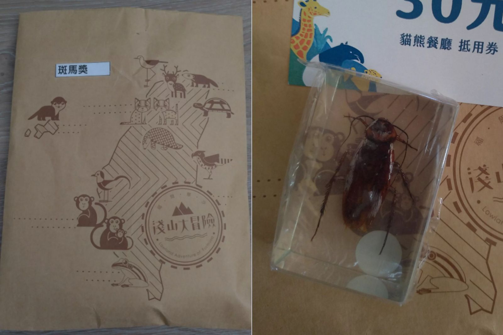 動物園刮刮樂抽「蟑螂標本」！網看細節驚超有誠意　園方曝市價：每日限量
