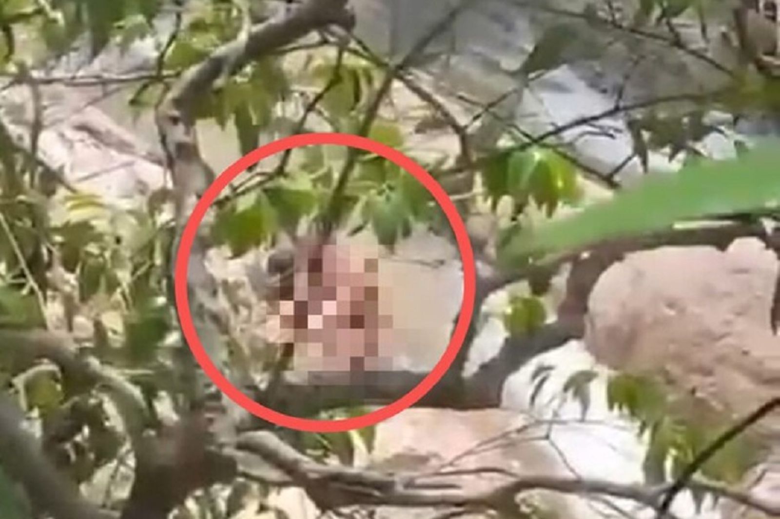 情侶堅持「裸身瀑布雙修」給大眾觀賞 下場慘了!