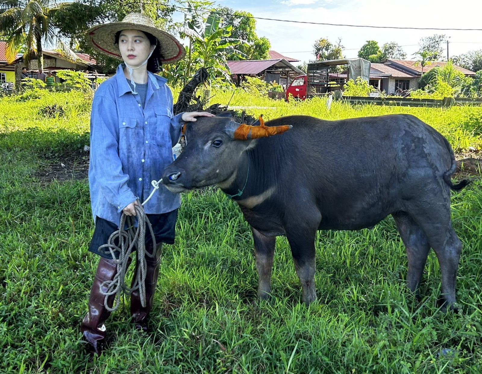 范冰冰赤腳插秧影片曝光！毀容式演技奪金馬　水蛭啃咬「重生血淚史」曝光