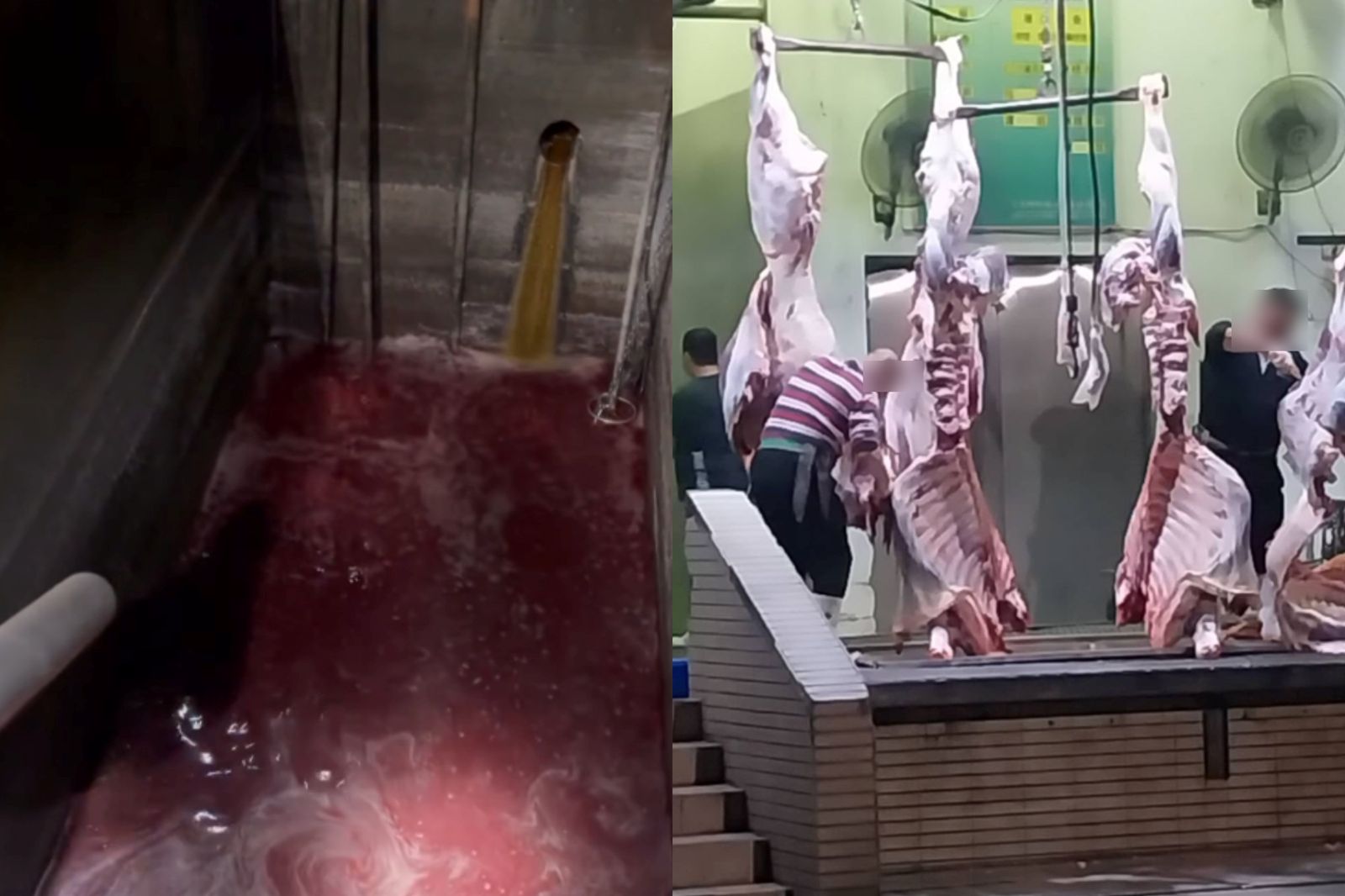 私接暗管排血水！泰山「福伯食品有限公司」遭停工仍作業　環保局說重話再抓1違法