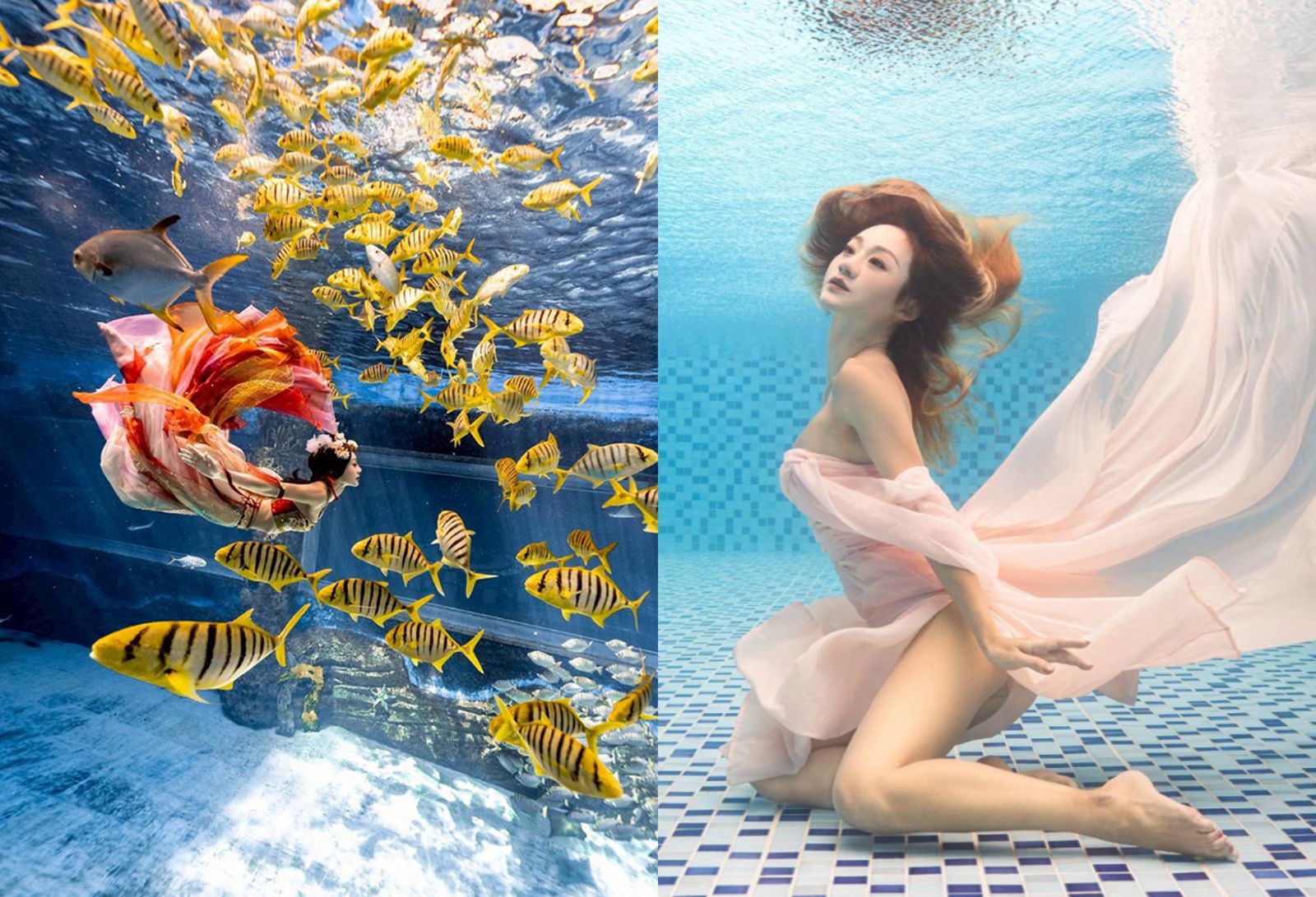 台版「真人美人魚」登國際封面！打破「水下模特」浪漫濾鏡　揭背後殘酷真相