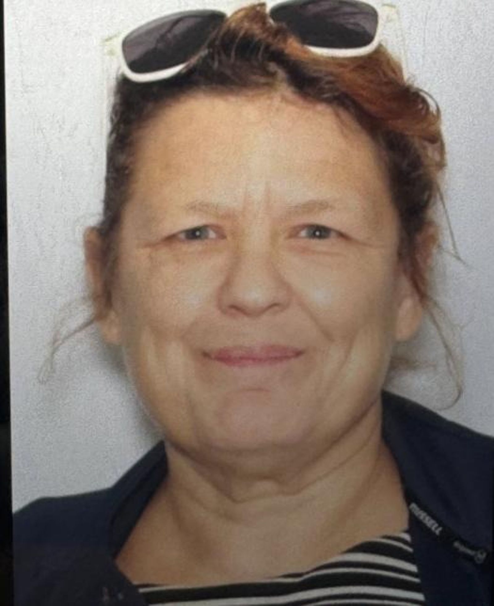 維達爾。圖／翻自斯普林菲爾德鎮警察局臉書