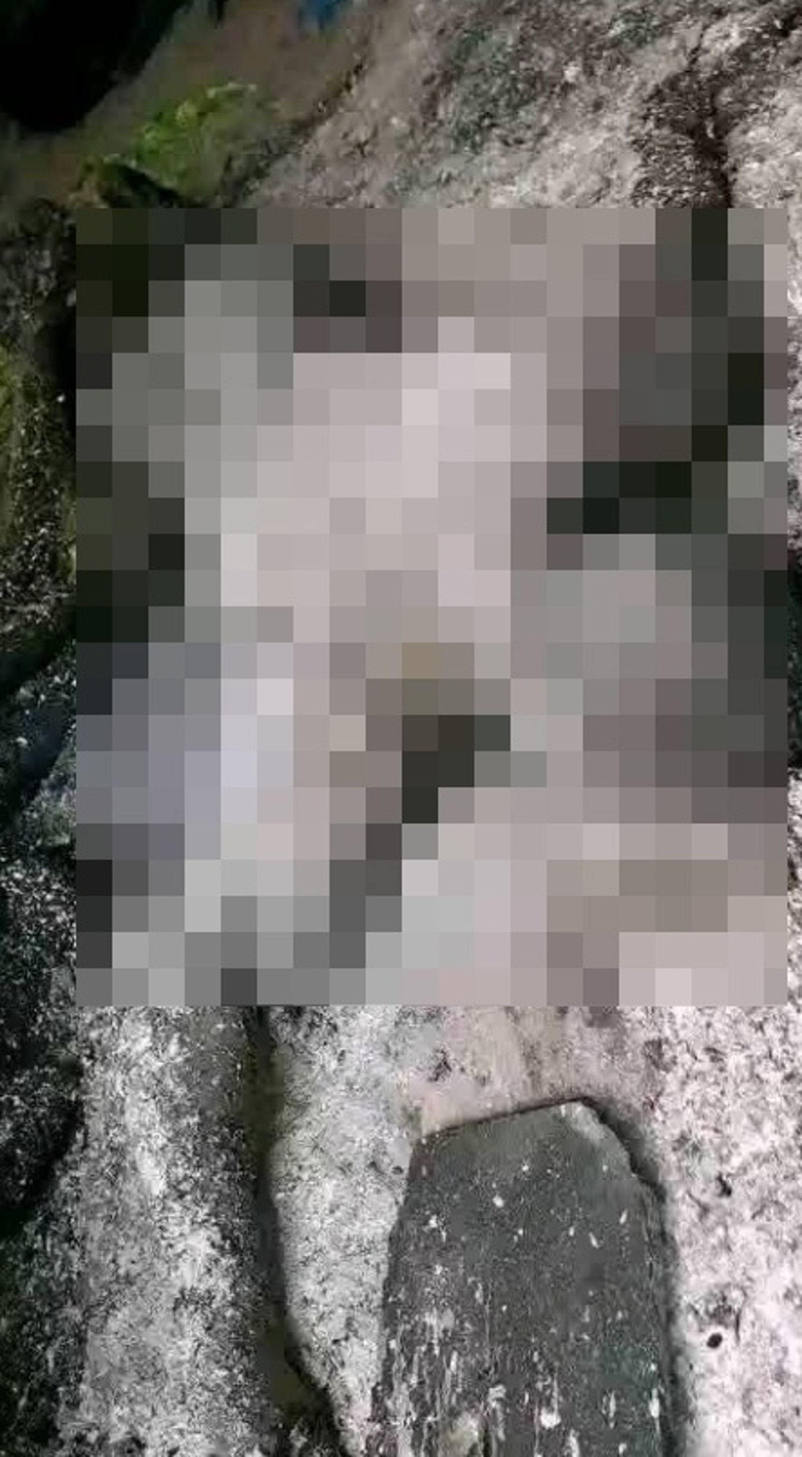 許多村民被活活燒死。圖／翻攝自X