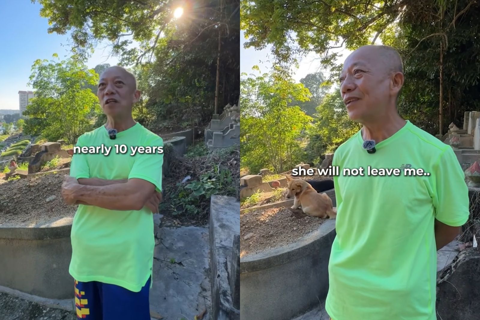 9年日走15公里只為說早安!65歲男風雨無阻 堅守對妻的1句承諾