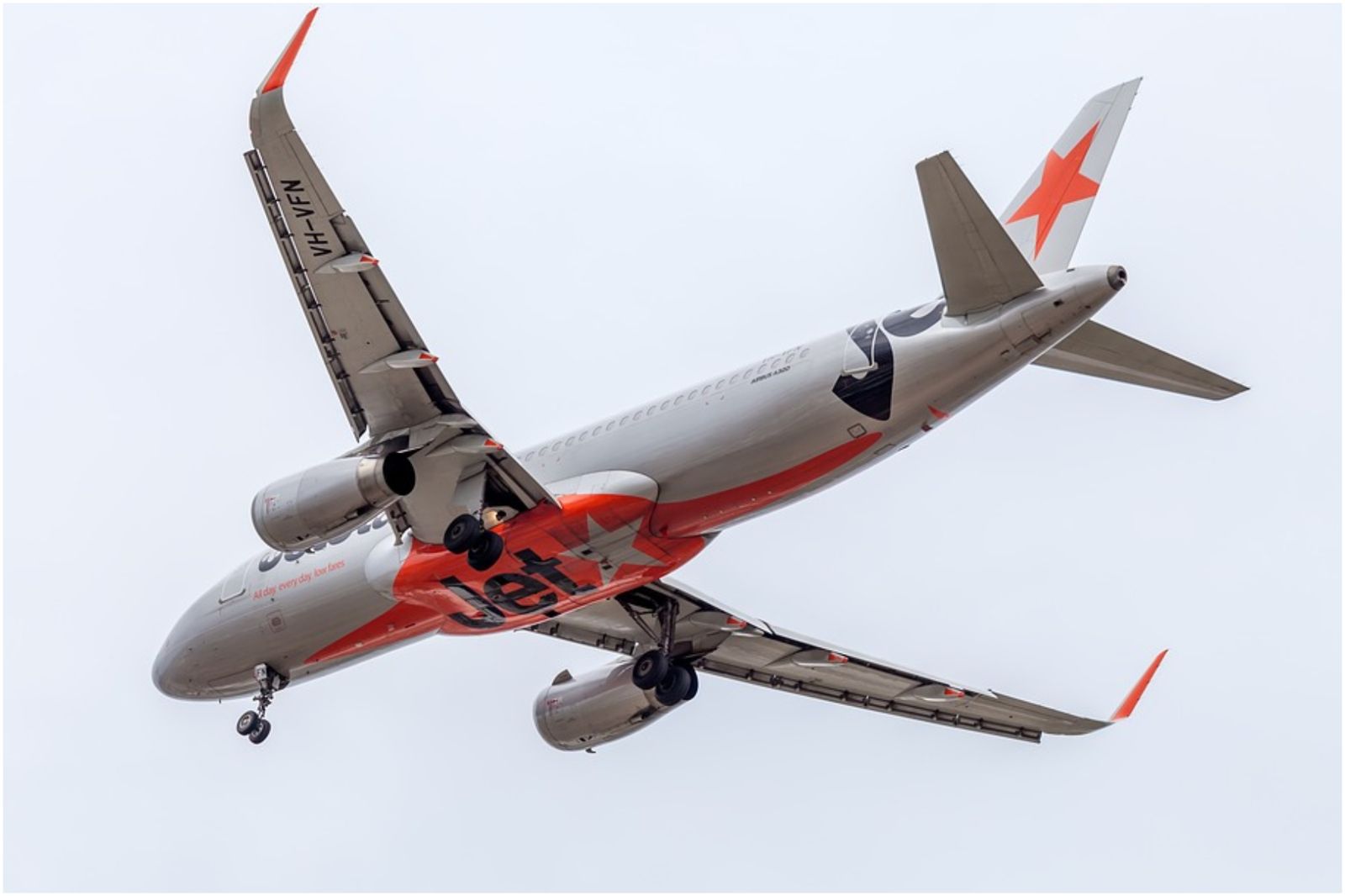 到機場才得知「航空公司停業了」!旅客傻眼:解鎖人生