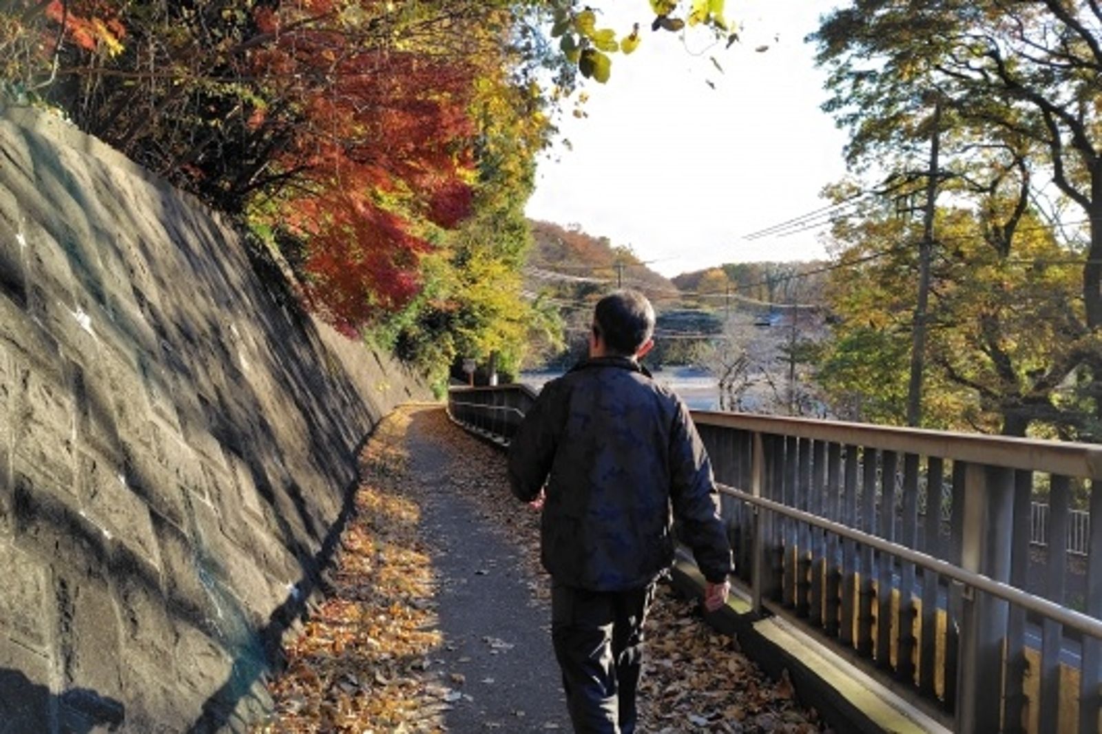 血液循環變差也容易感冒,因此可以散步、適時運動提高代謝。示意圖/photoac