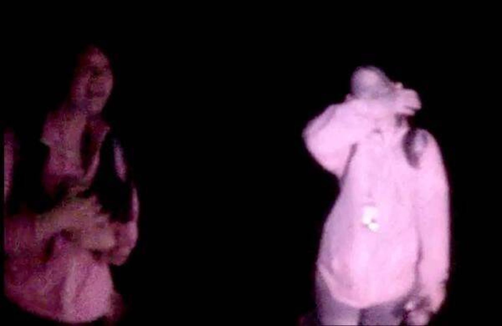 女大生在台中大坑山區迷路是10年前的真實事件。圖/翻攝自網路