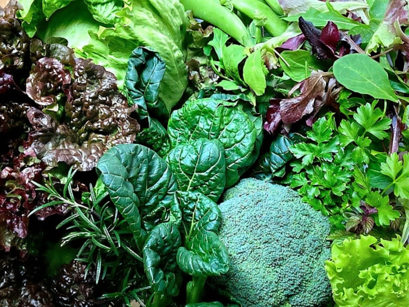 吃菜也致癌？譚敦慈揭「硝酸鹽」真相　一招降低風險