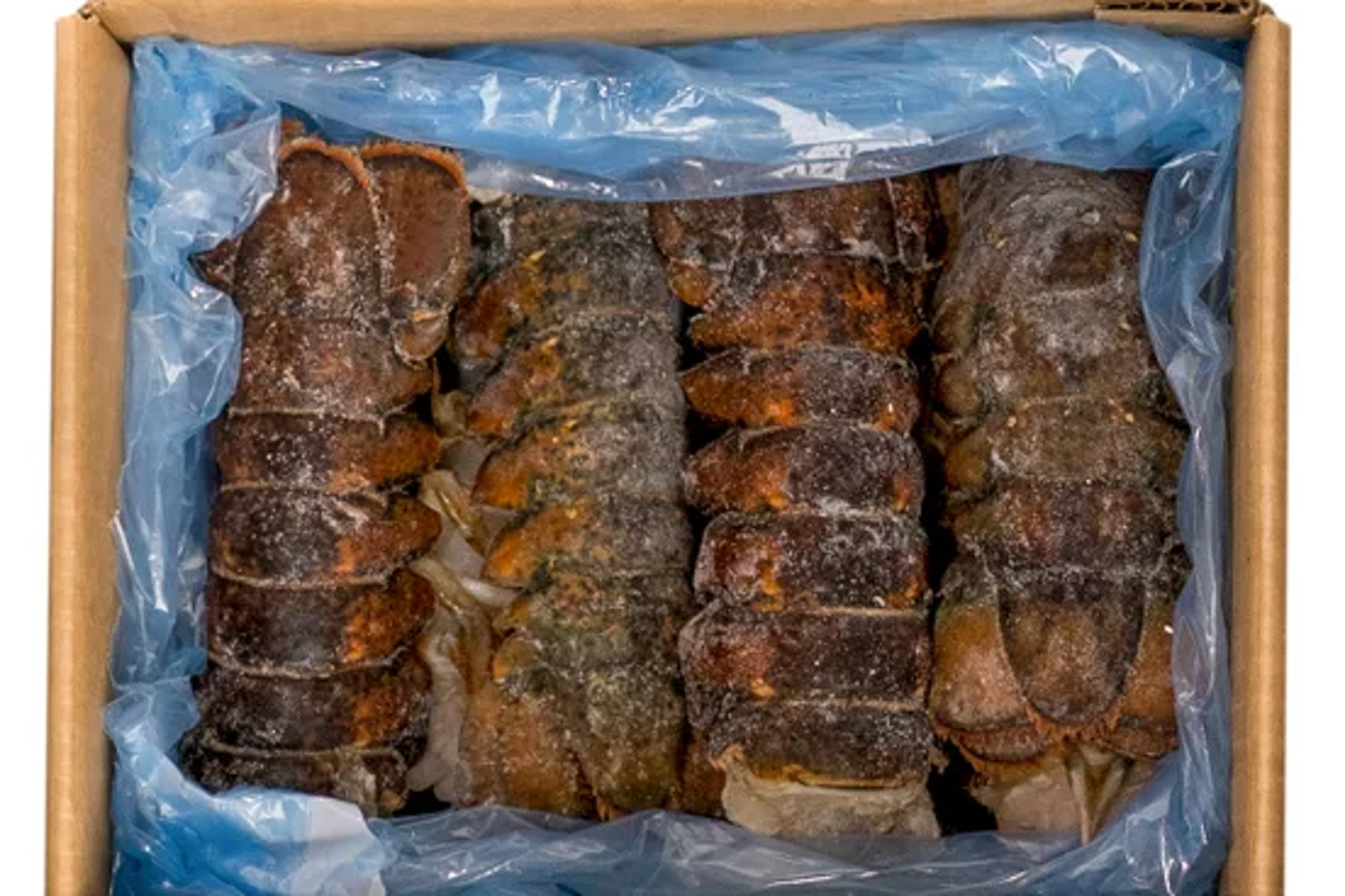 好市多1200萬龍蝦遭盜 已非偶例驚動FBI!惡劣影響曝