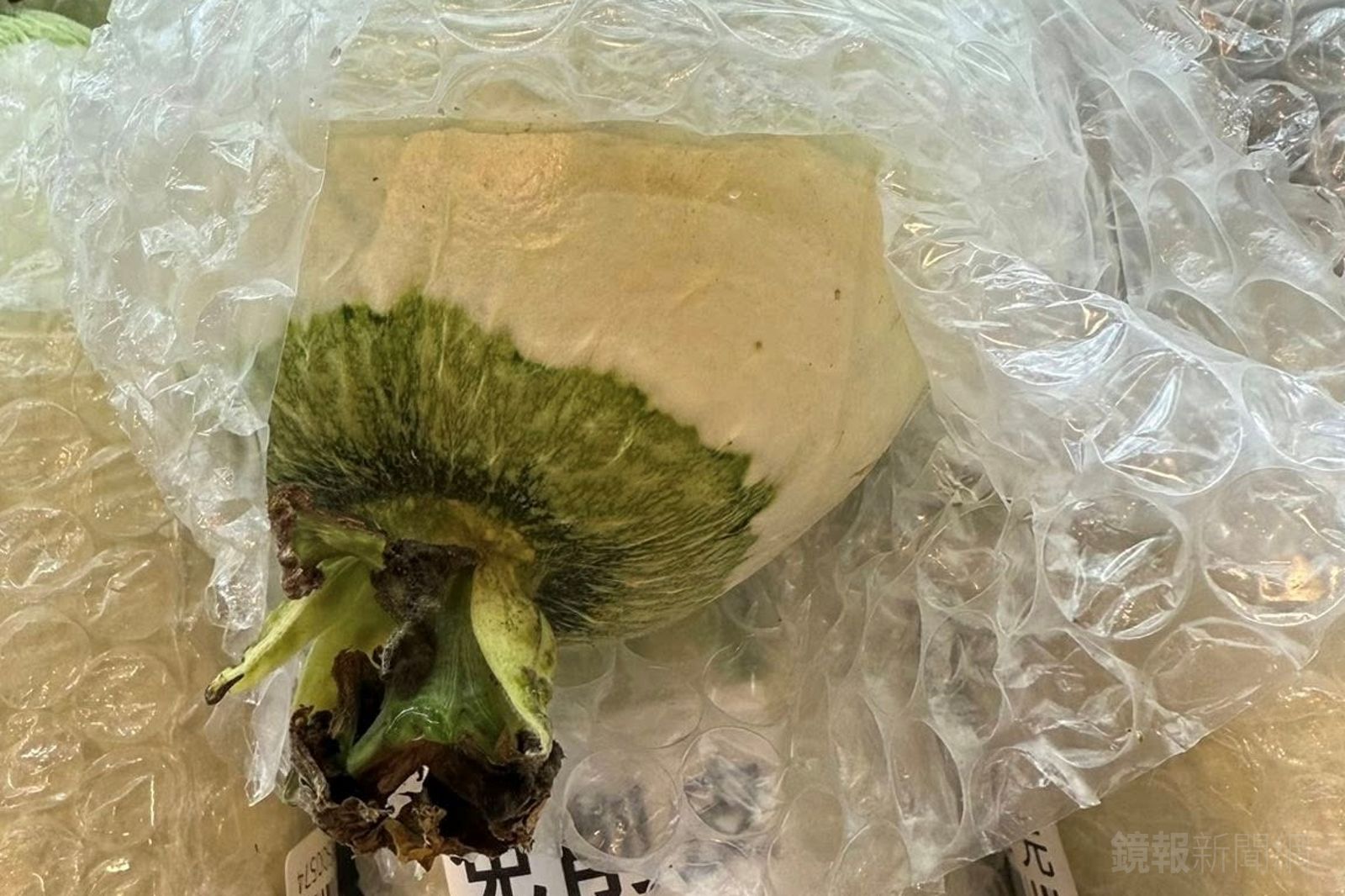 全聯販售免削皮絲瓜引發討論。圖/翻攝自臉書社團全聯Pxmart商品鄉民真心話