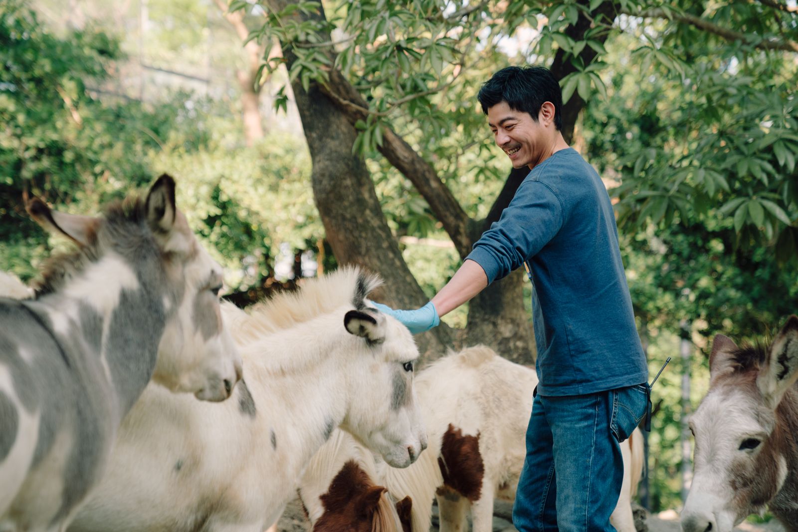 王柏傑在《動物園》中飾演資深保育員，在人與動物的互動中重新思考生命的意義與價值。Disney+提供