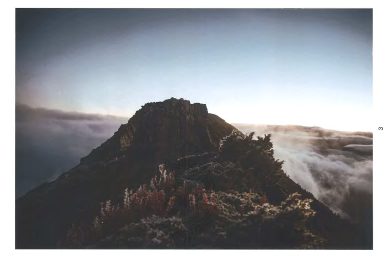 雪山美照遭登山公司私自上架NFT涉侵權　負責人判拘