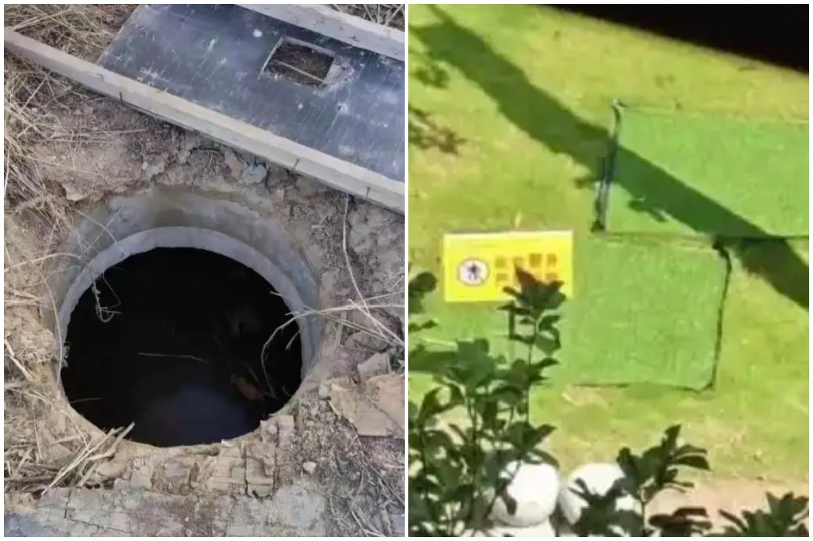中國頻傳「化糞池死亡案」接連2大學生墜池慘死 全網怒了