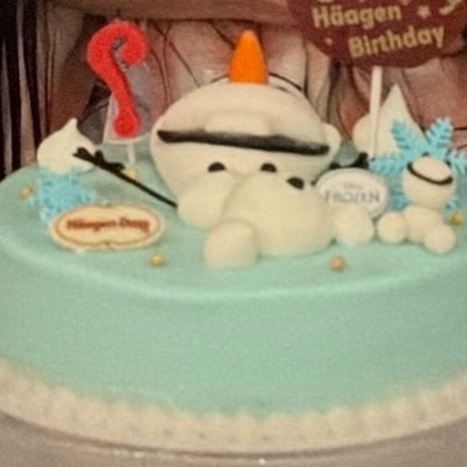 霍建華的生日蛋糕竟是雪寶造型。翻攝林心如臉書