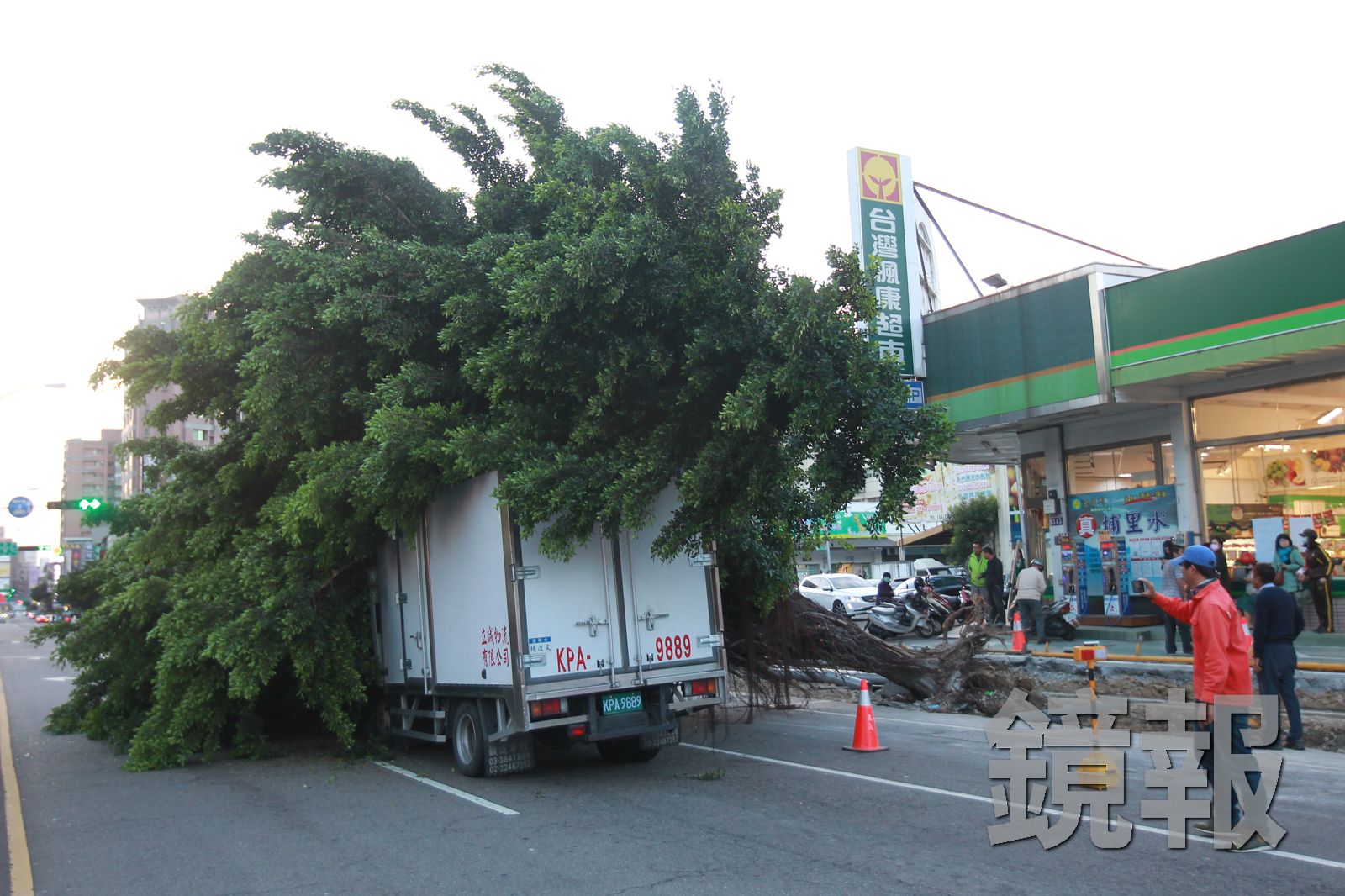 2018年12月底台中市北區三民路三段發生路樹倒塌意外,路過車輛與機車慘被砸中,還造成1名機車後座的羅姓女子脊髓損傷、下肢癱瘓。資料畫面。圖/攝影林建鋒