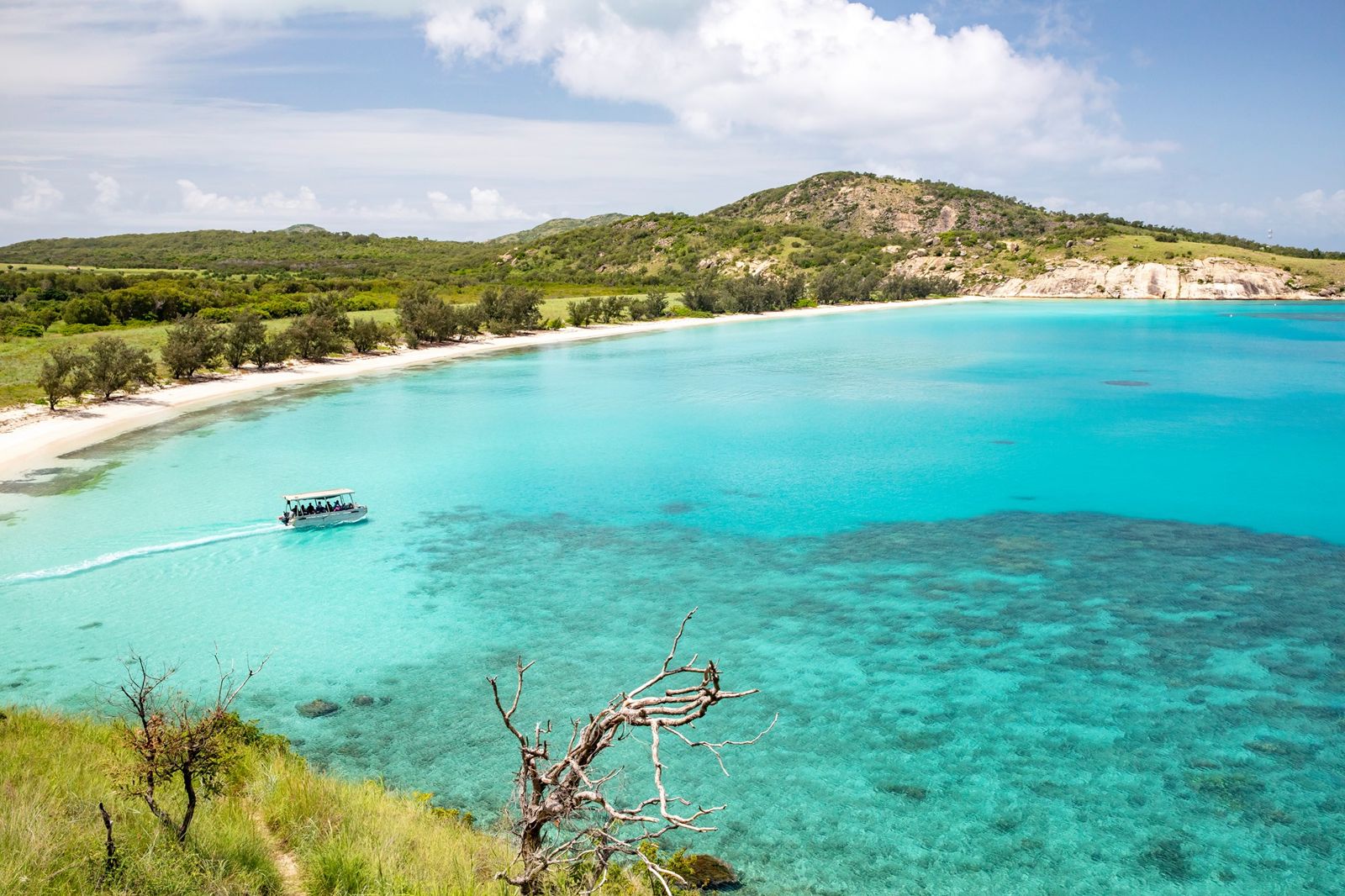 遊輪上的乘客要搭乘接駁艇才能登島。圖／翻攝自FB／Coral Expeditions