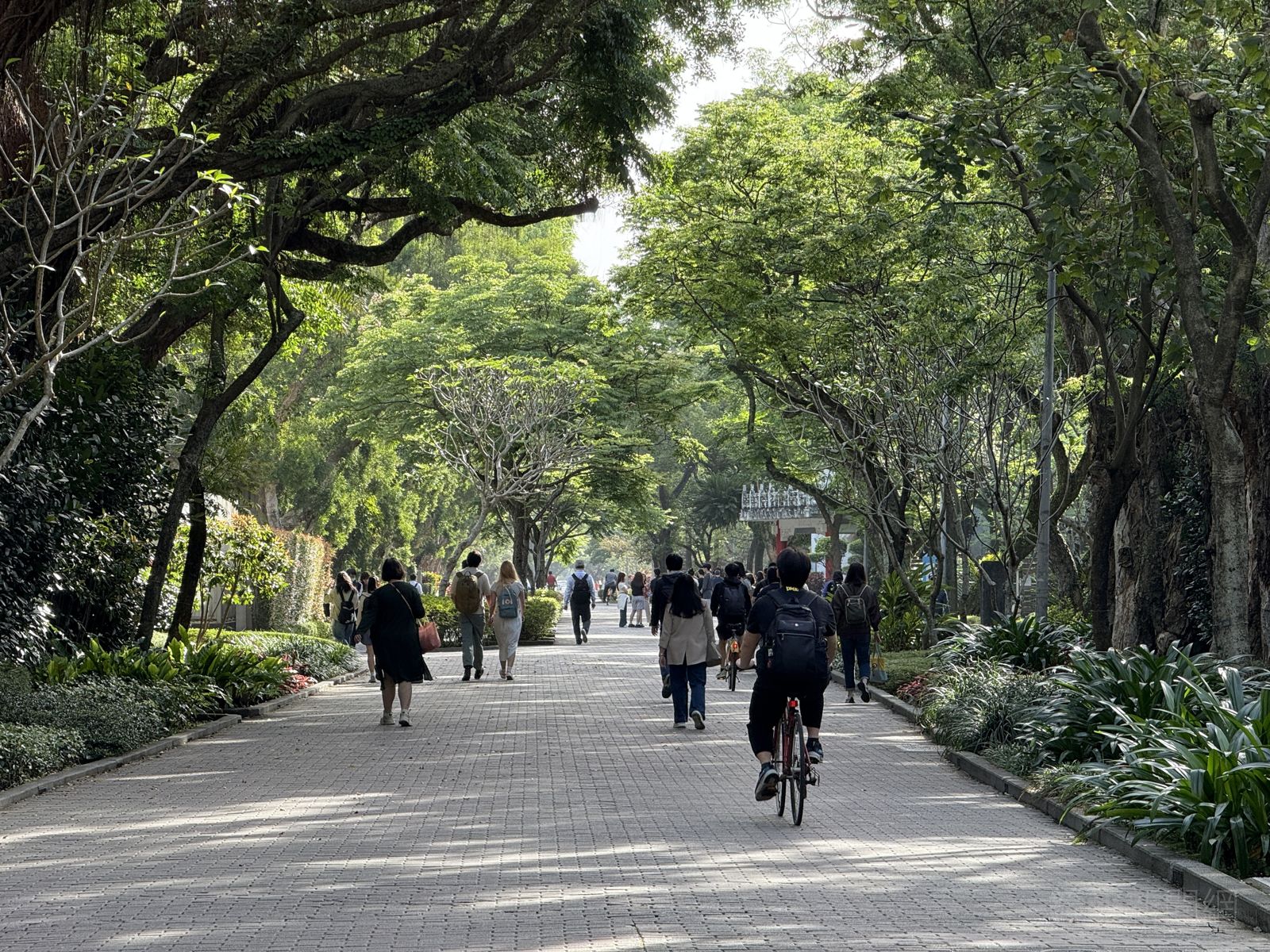 錄取名校嘆「前景絕望」!雲林學霸放棄台大經濟:家裡還有弟弟要扶養