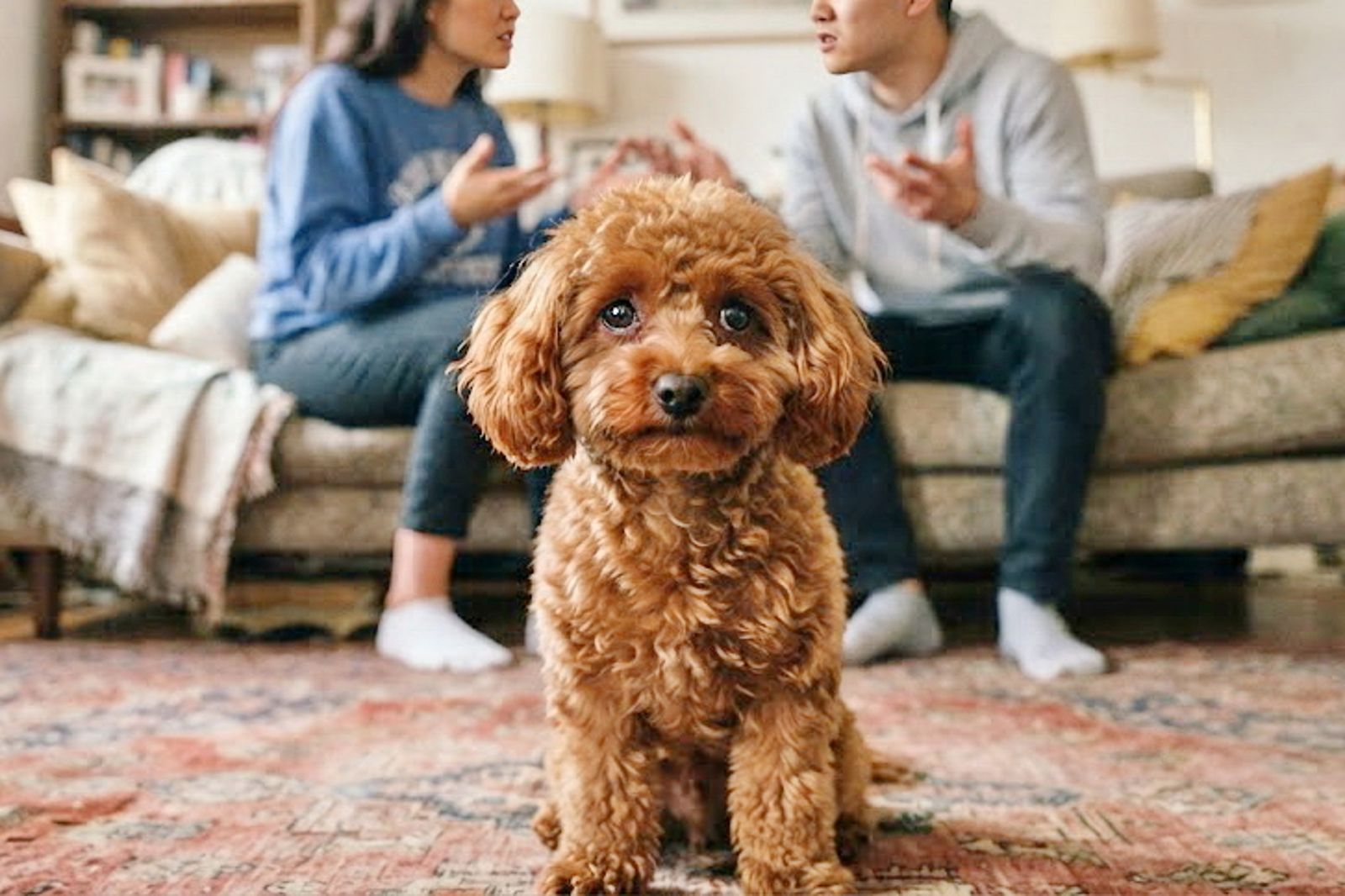 與女友吵架「擔心沒人照顧牠」!惡男竟對愛犬狠下毒手揮刀奪命
