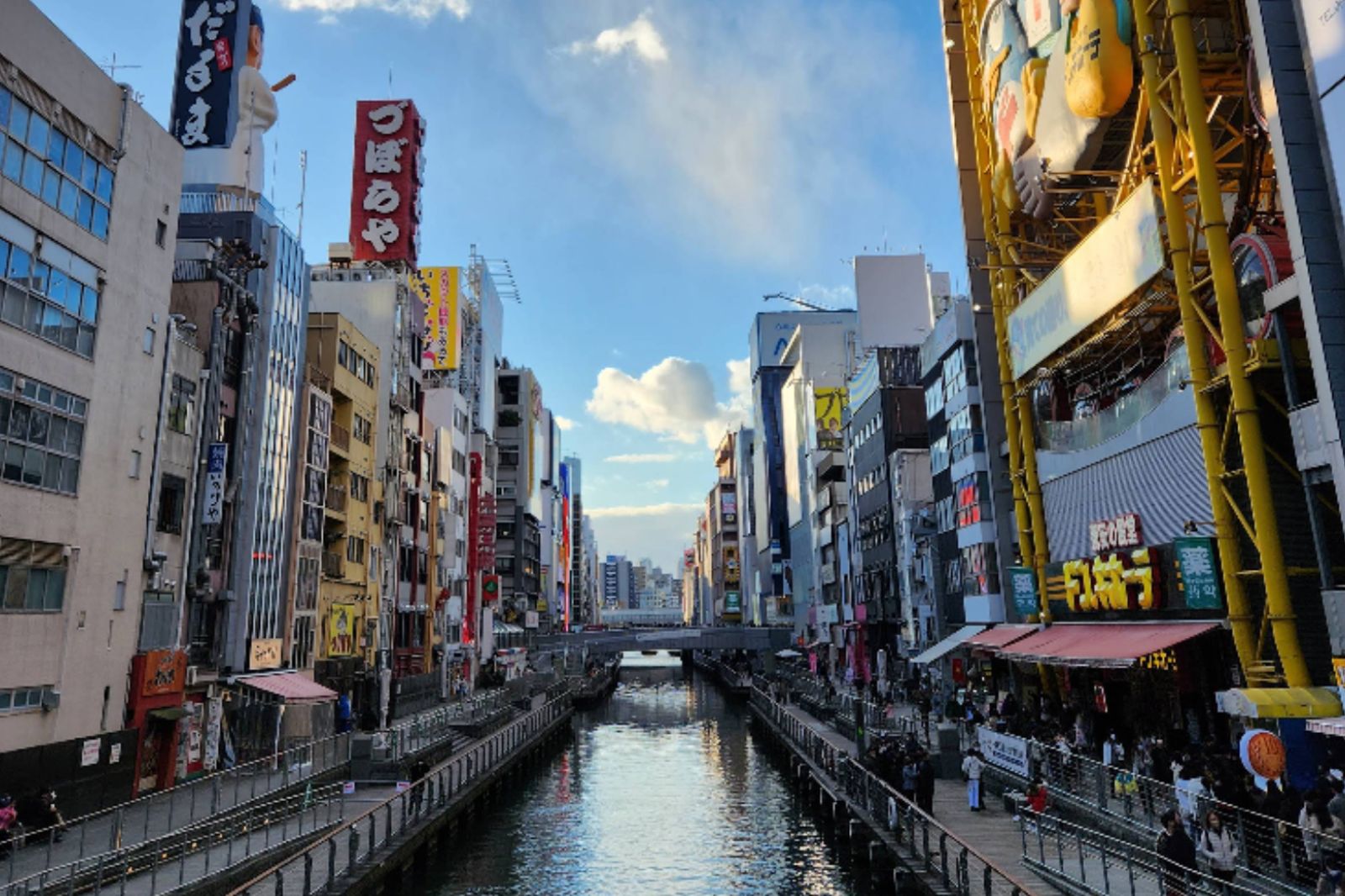 密集恐懼症慎入！大阪道頓堀「河道湧入大量魚群」　日網友：擔心大地震前兆