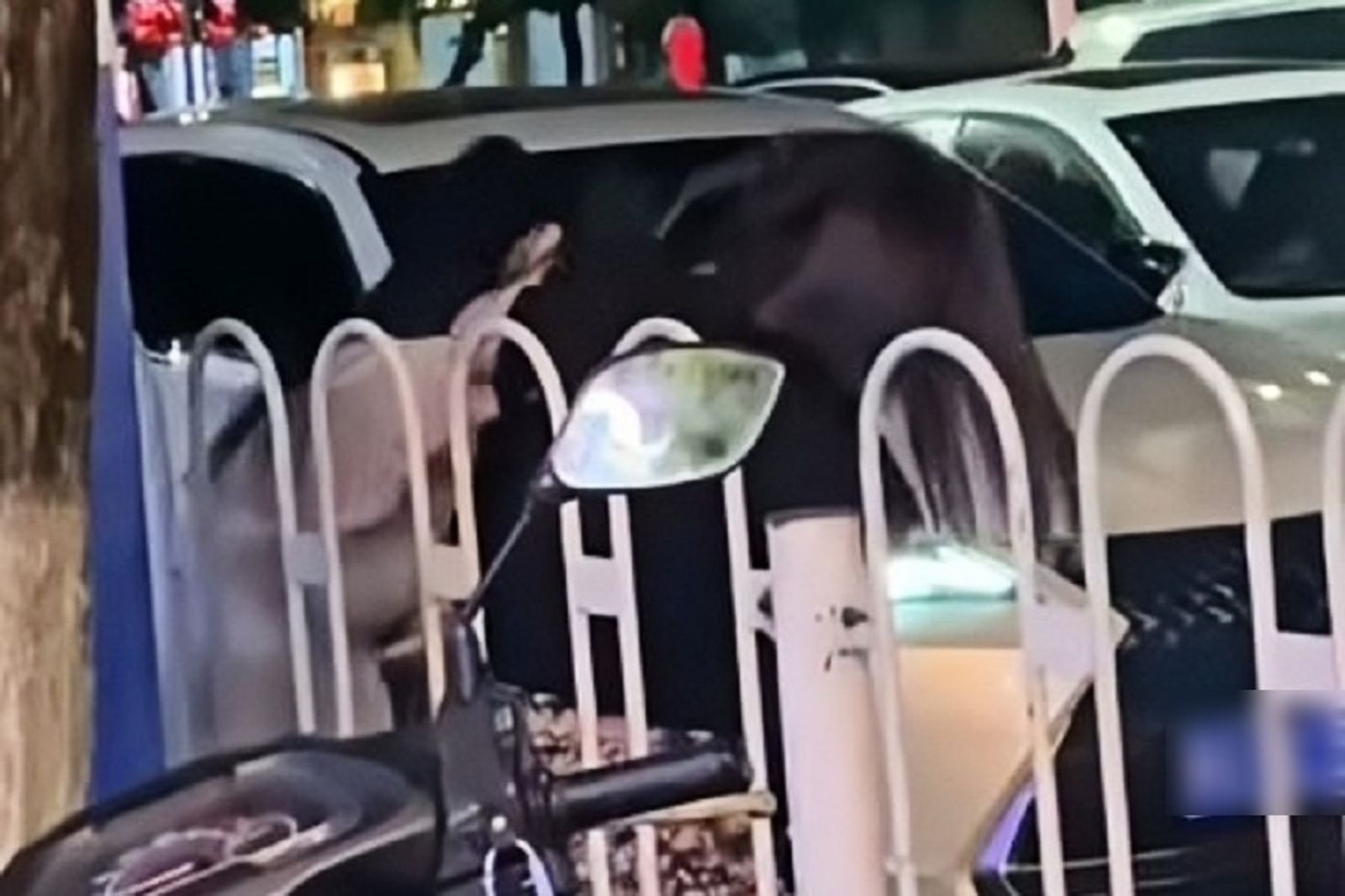 小三年過50還有2子　年輕人妻崩潰當街廝殺