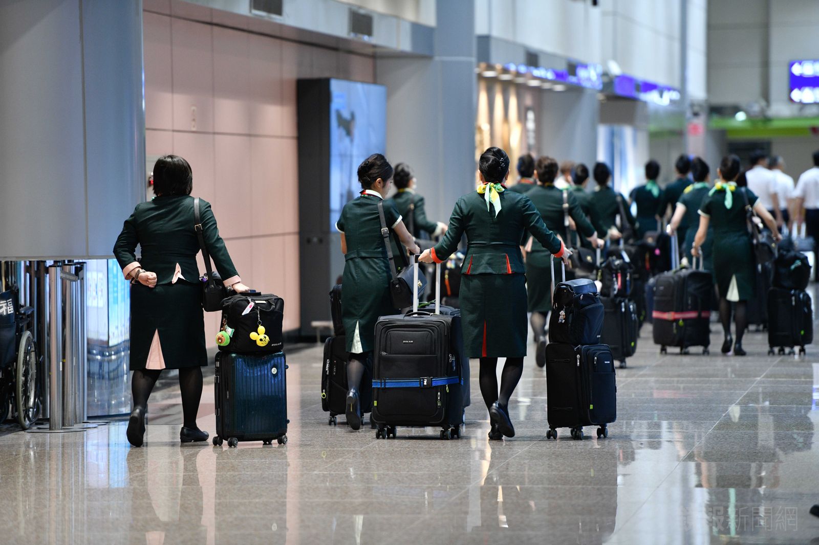 空服員「血汗」每年還是一堆人搶報考　她揭關鍵：很吸引這群人