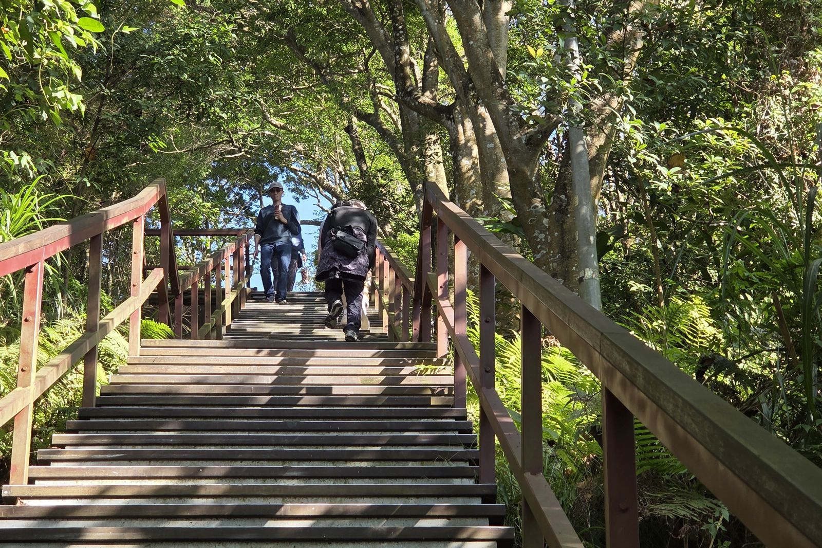 清寒女冒名打掃公園3年領60萬 北市府女技士「睜隻眼閉隻眼」涉貪6萬交保