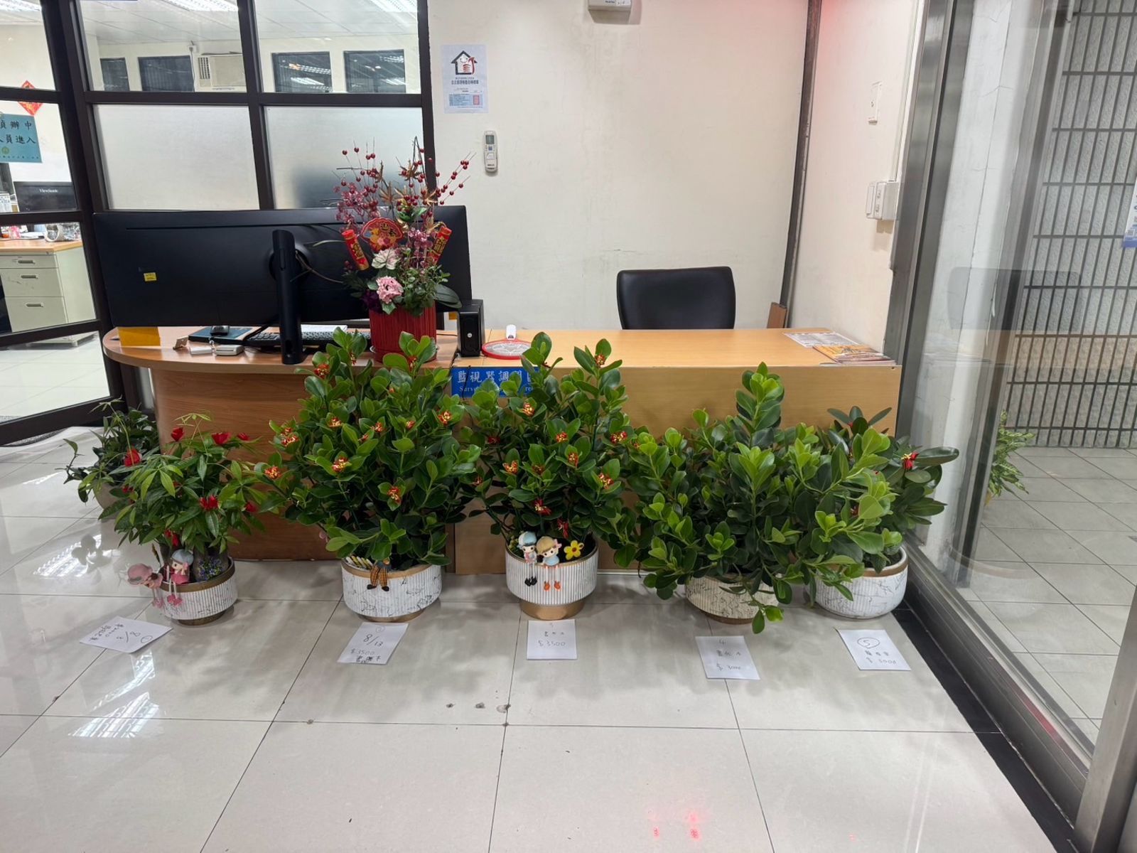 太喜歡直接搬回家!北市花店5盆栽被偷 女賊落網曝超扯理由