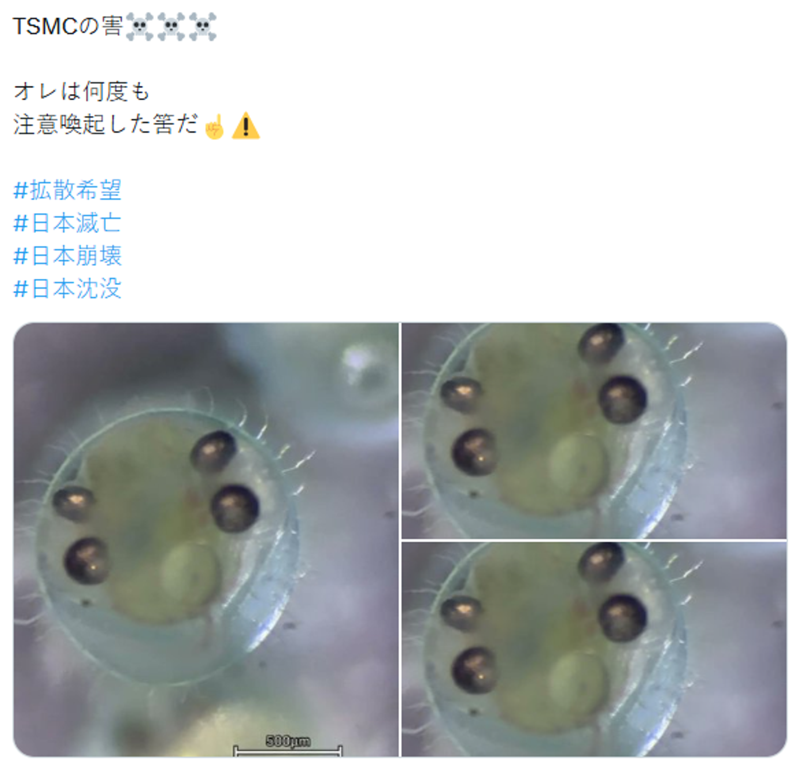 事件起因源於一張彷彿長出4個眼睛的鱂魚圖片，搭配上「熊本自來水」、「畸形一大堆」、「正大量發生」的貼文在X上被大量轉載。圖／翻攝自X