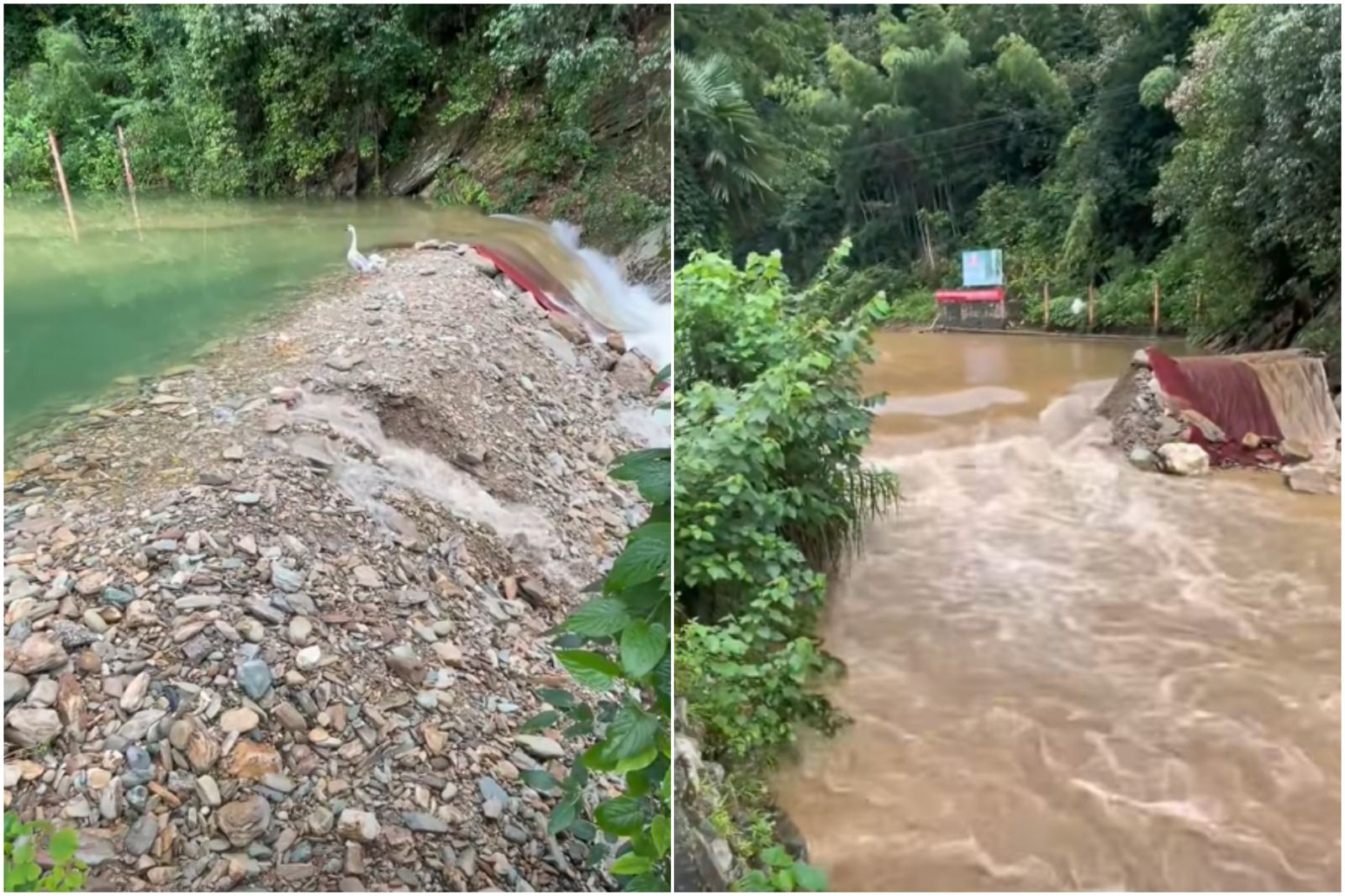 如破籠子養老虎！這影片「看完就懂」　郭正亮解釋定義：是潰堤非溢流
