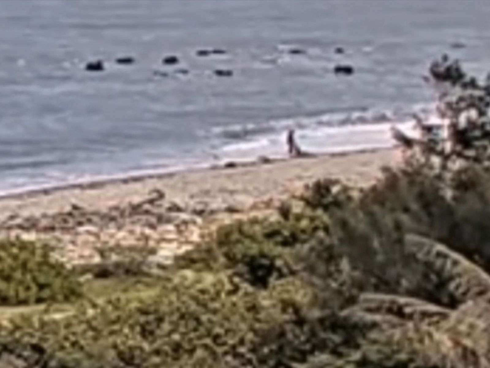 有片／求愛不成釀殺機！「火山孝子」狠砸酒店妹頭部　棄屍花蓮海灘遭羈押禁見