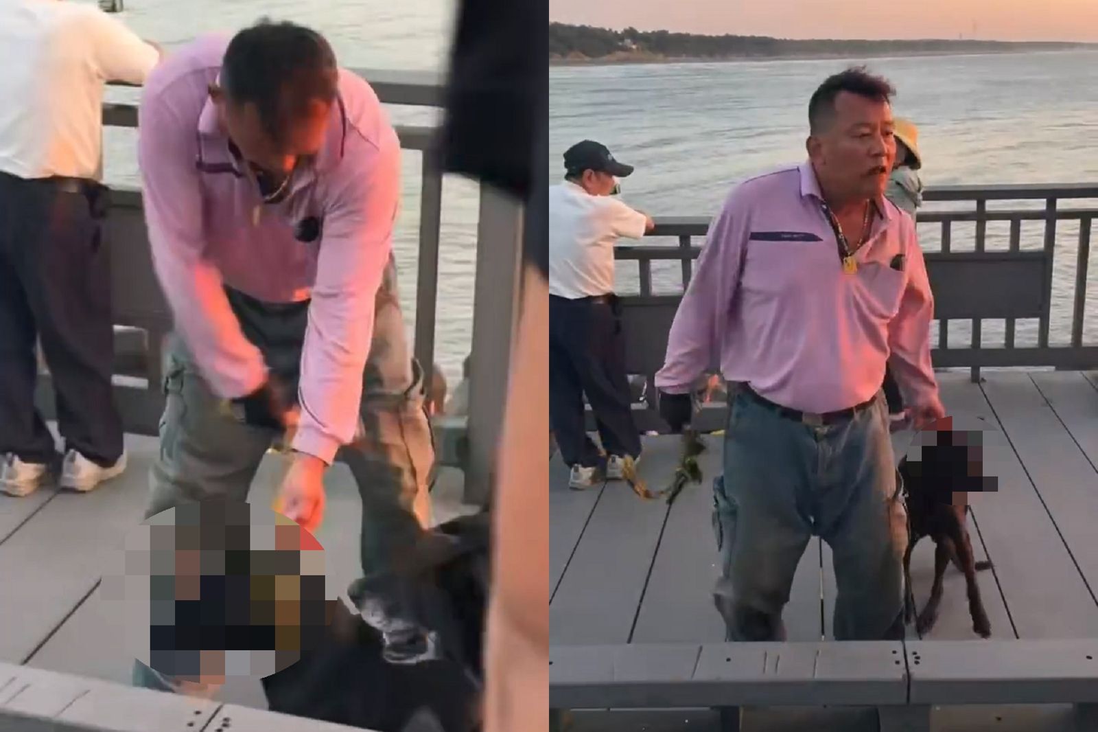 公狗「小黑」想找母狗玩竟遭狂抽!龍鳳漁港驚見惡飼主打狗 動保所出手了