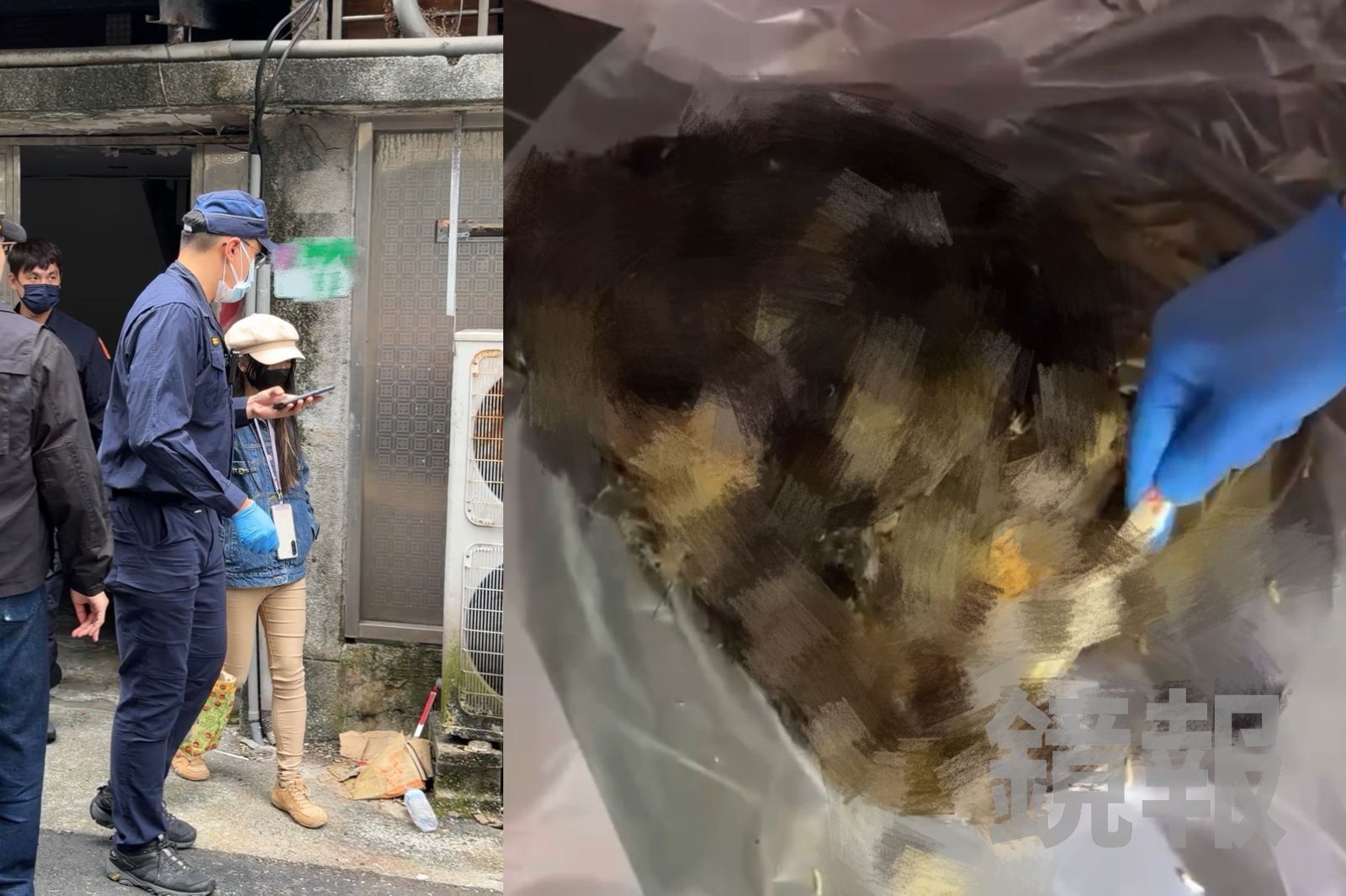 全推給前男友！虐貓惡女「三不知」　裝袋棄屍垃圾車詭辯：不知是貓