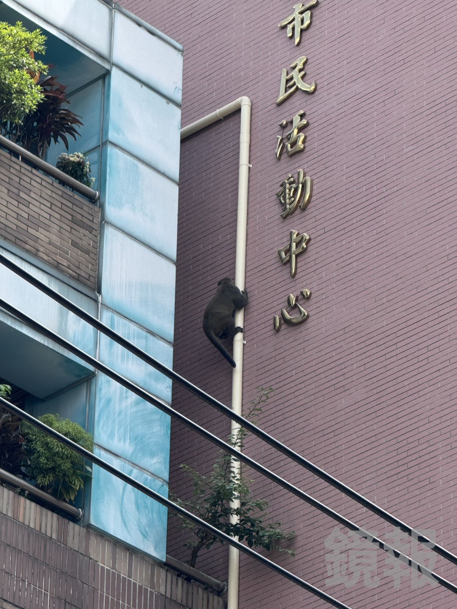 犯案後民眾追至附近活動中心。民眾提供