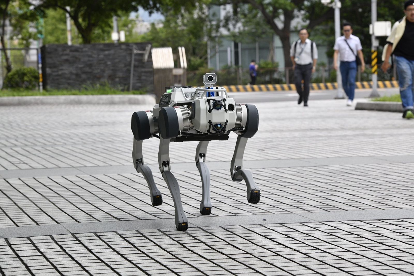 星科的大型機器狗機身防水，可以在戶外巡邏。