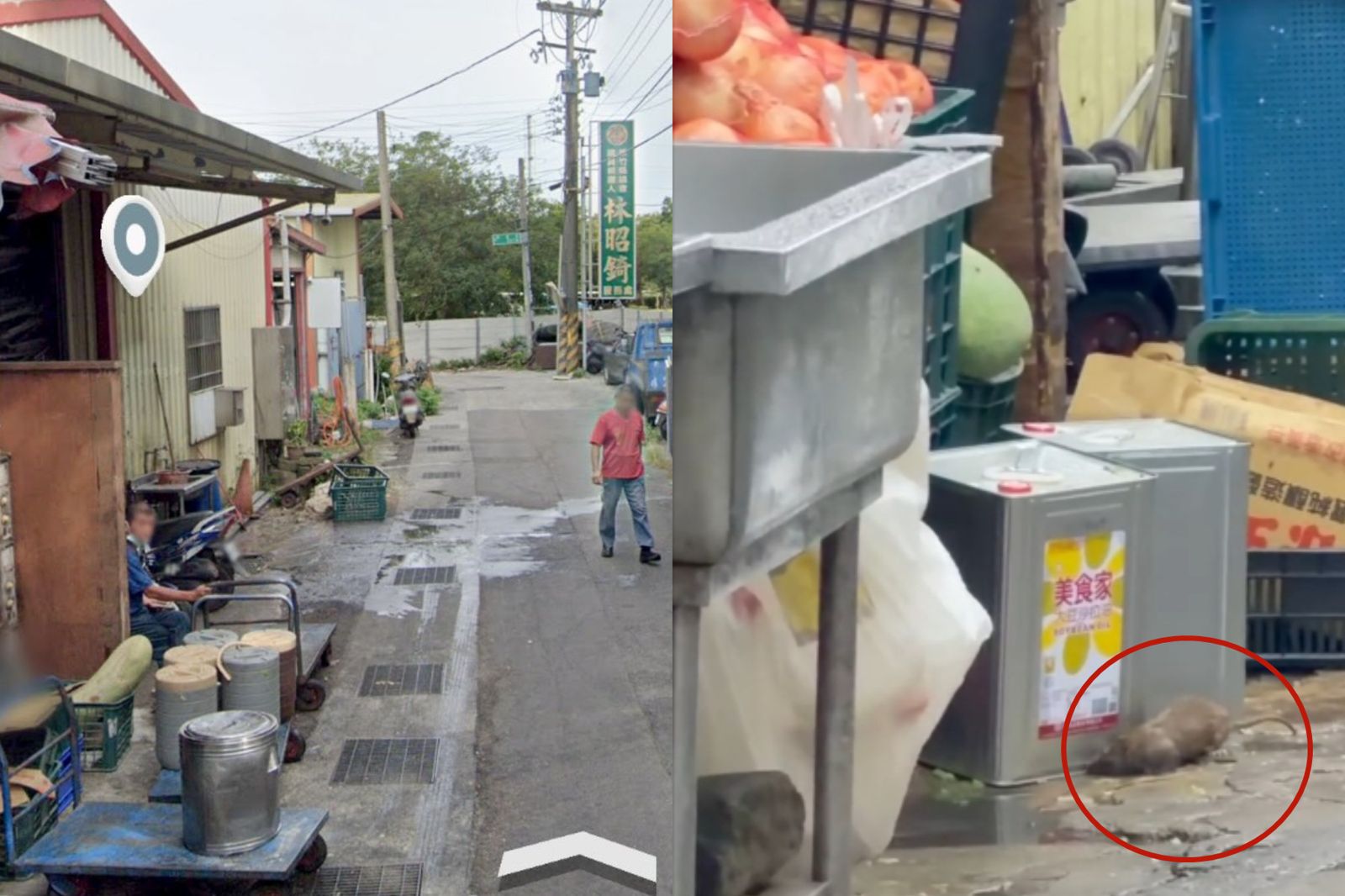 超噁爛！竹科團膳遭控「鼠輩狂竄、食材放柏油路」　網爆背後有議員撐腰...妻現身處理了