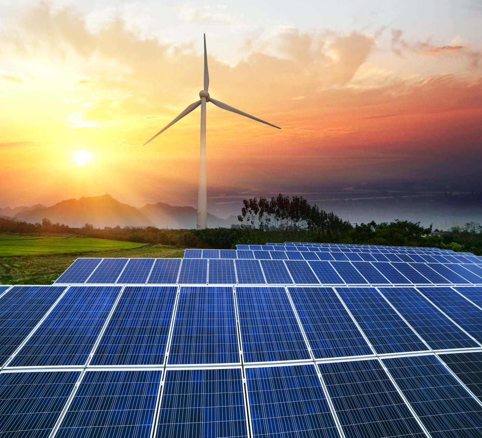 投書：澳紐商會白皮書對台灣遞出一張戰略盟友邀請卡