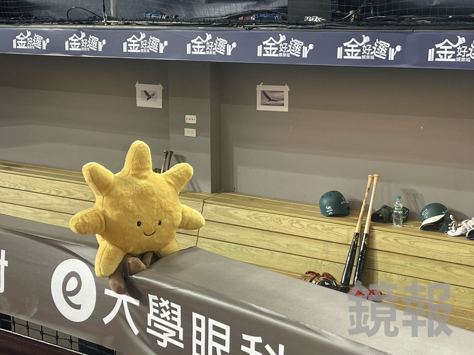 中職／太陽娃娃也沒救！洪一中點破台鋼大巨蛋低迷戰績關鍵