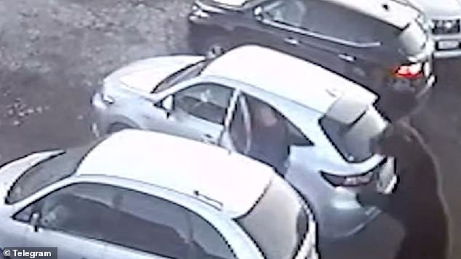 恐怖！大熊在城市亂竄「無差別攻擊」阿嬤慘死　男童裝死逃過一劫