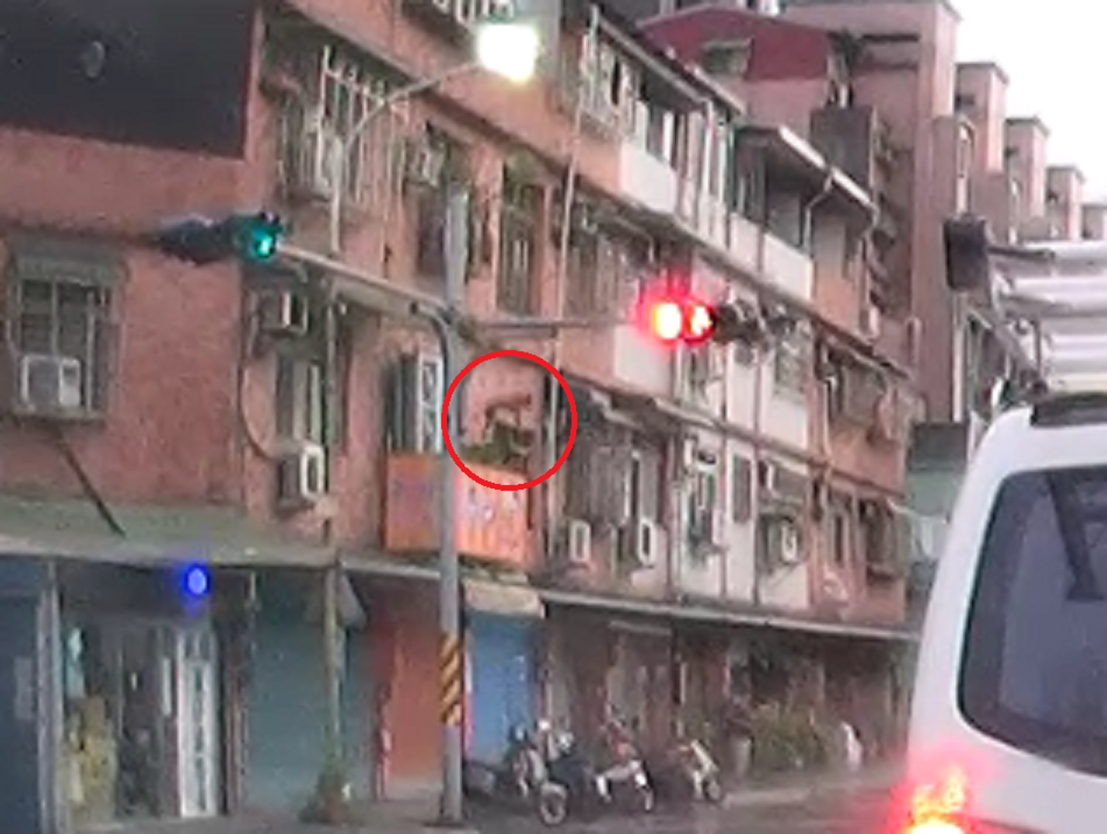 雜物堆陽台害死牠!愛犬雷雨受驚「翻越女兒牆」墜樓亡 飼主慘噴1.5萬罰鍰