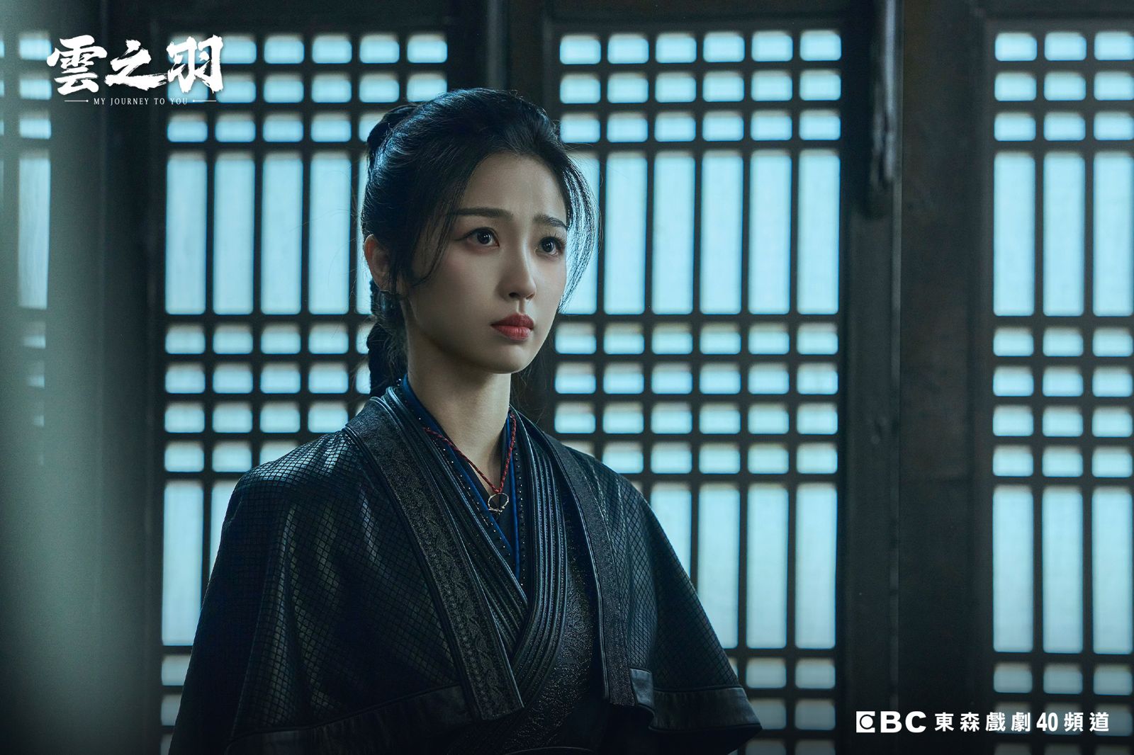 《雲之羽》虞書欣飾演冷面刺客「雲為衫」，驚喜角色拍出她溫婉一面。東森提供