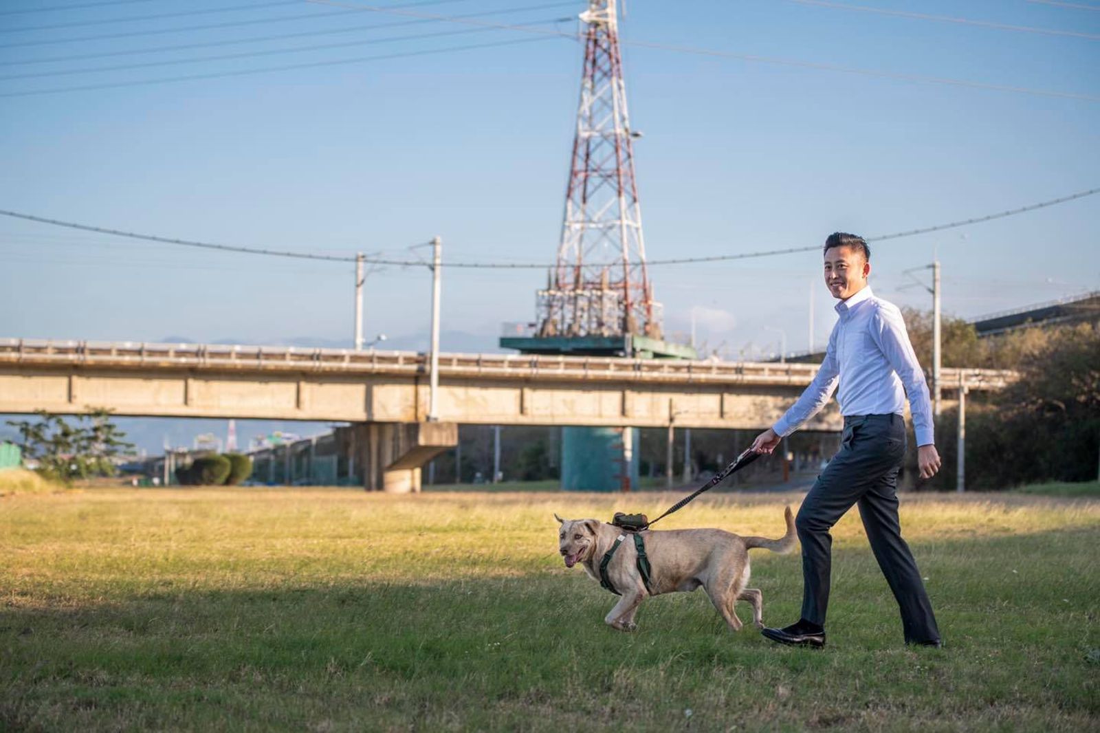 41J肉聲／新竹市犬「棕棕」爆遭棄養　收容所待4年！高虹安：前市府送回