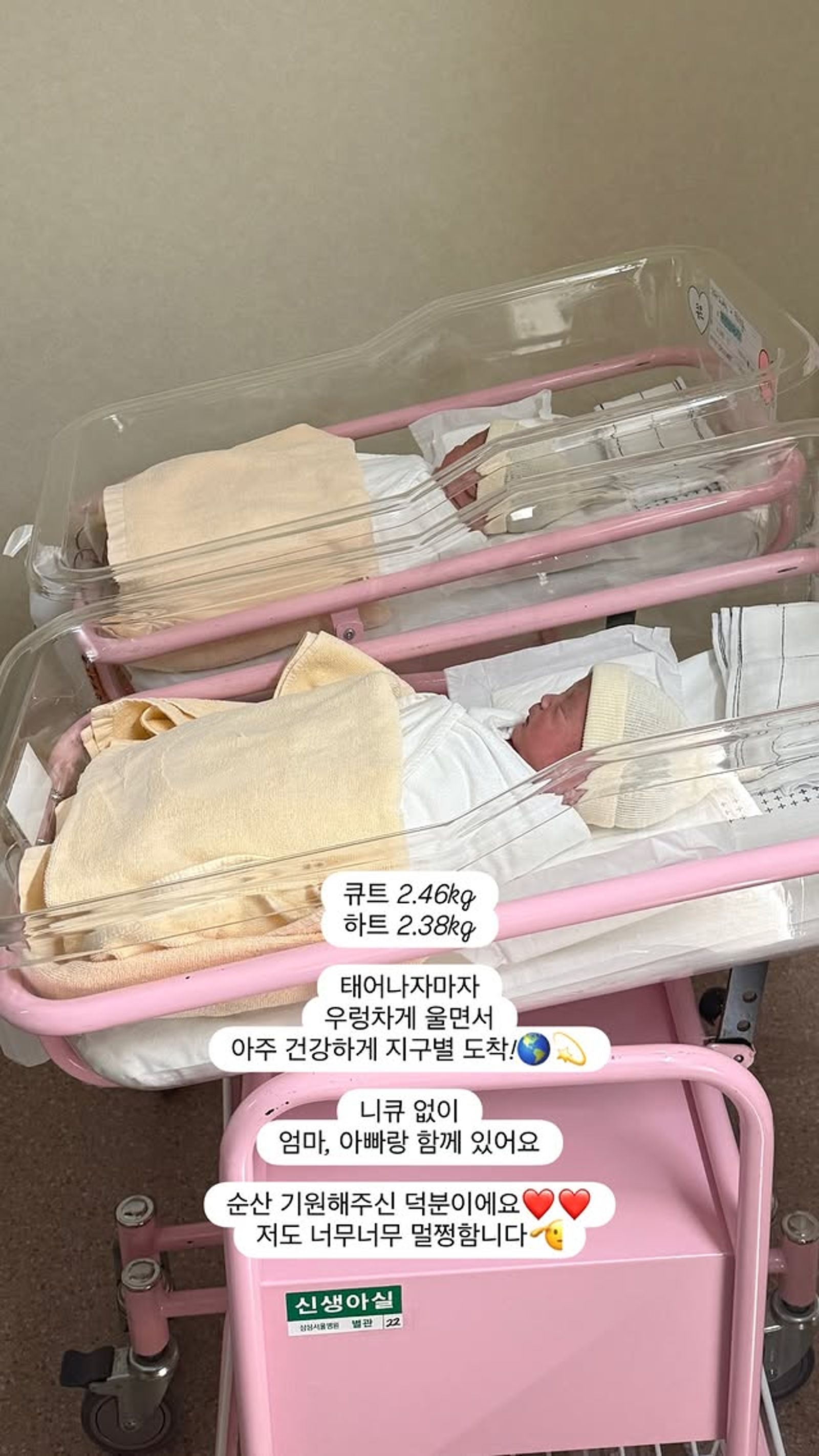 超娥分享雙胞胎兒子十分健康。翻攝IG@minjinchoa