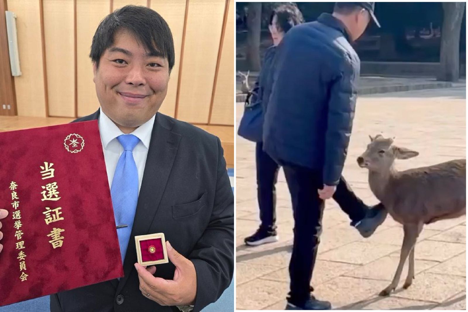 41J肉聲／奈良鹿也反共？聽到中國話就暴怒　「反中護鹿網紅」當選奈良議員