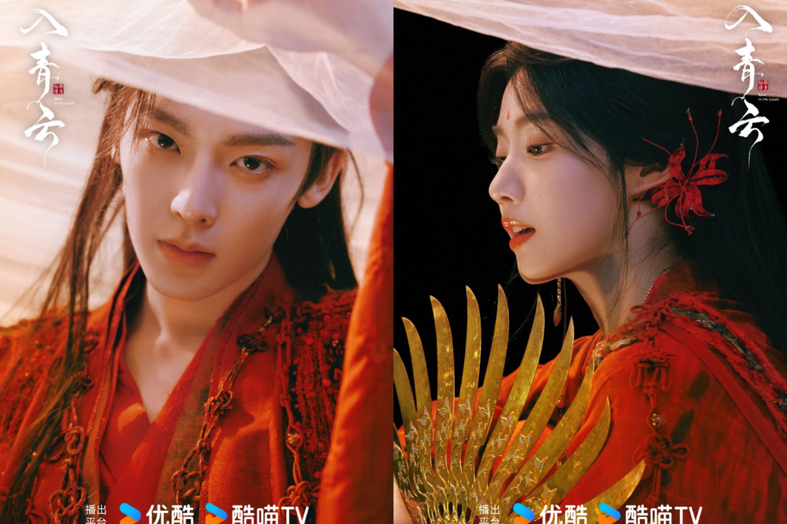 《入青雲》破200萬預約「開播日期」官宣　侯明昊耿直問「代拍」1個月賺多少錢