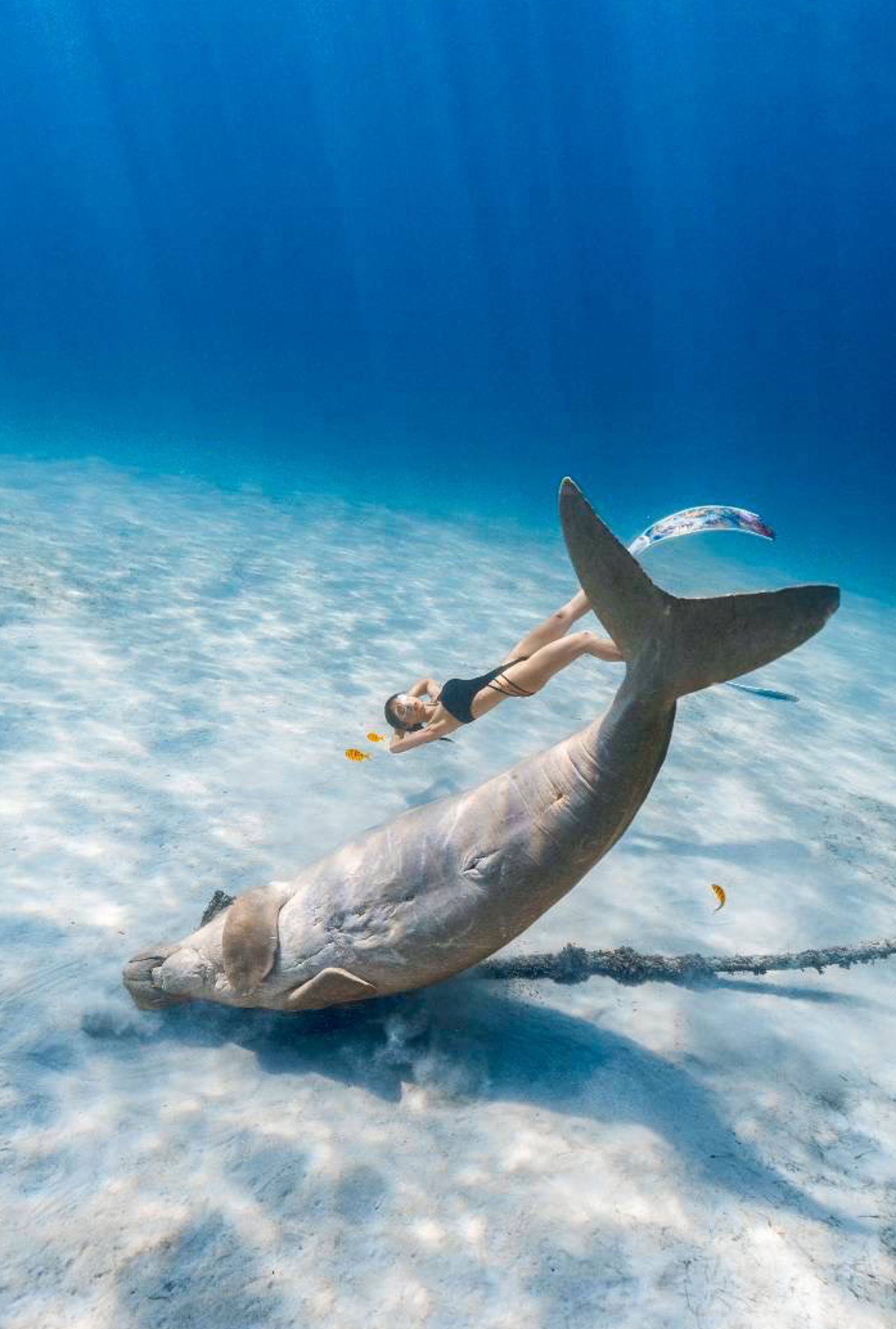 水下拍攝看似唯美，背後並不簡單。賴心雅提供