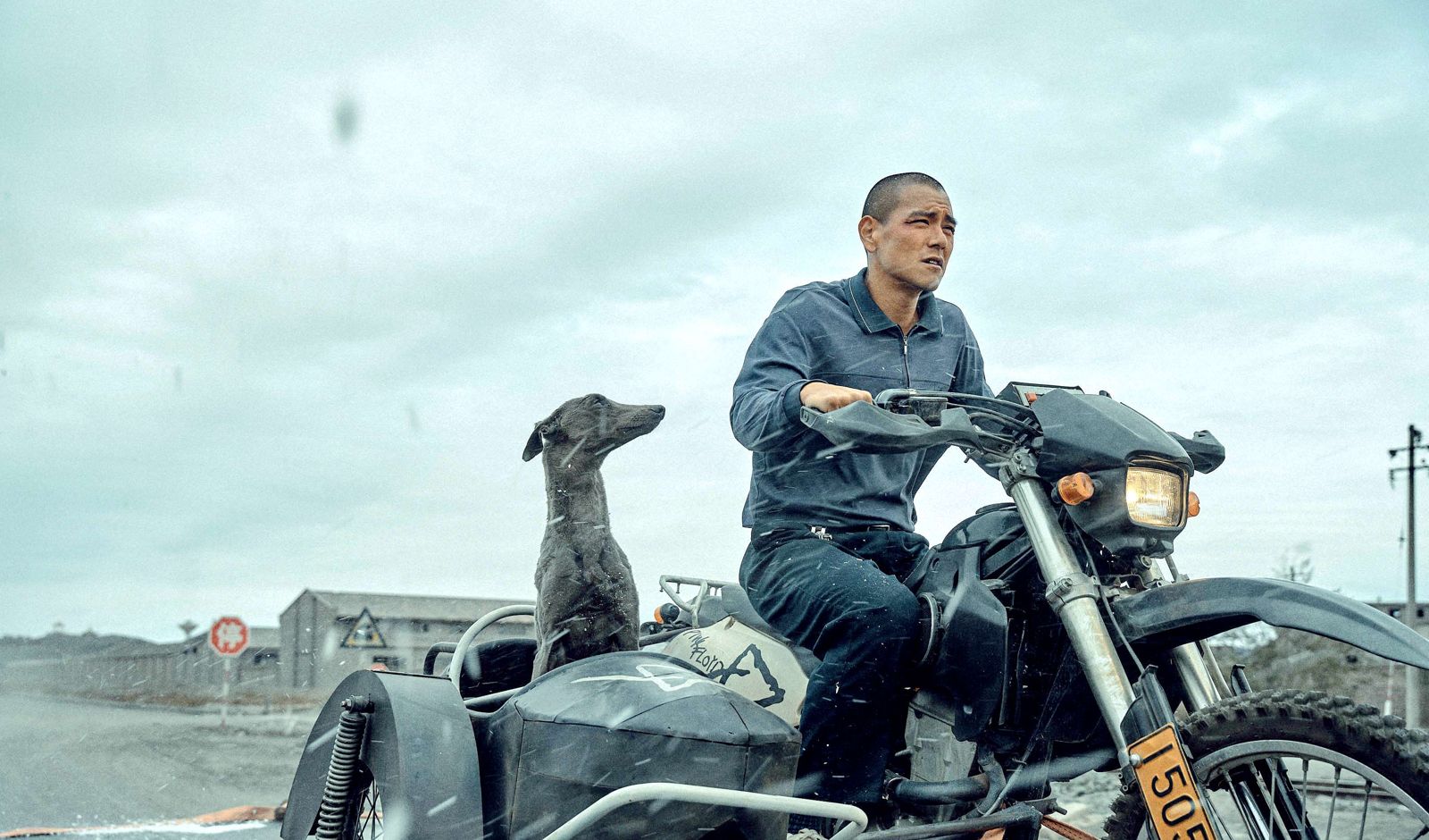 彭于晏《狗陣》桃園電影節亮相　光頭造型與王一博拚人氣